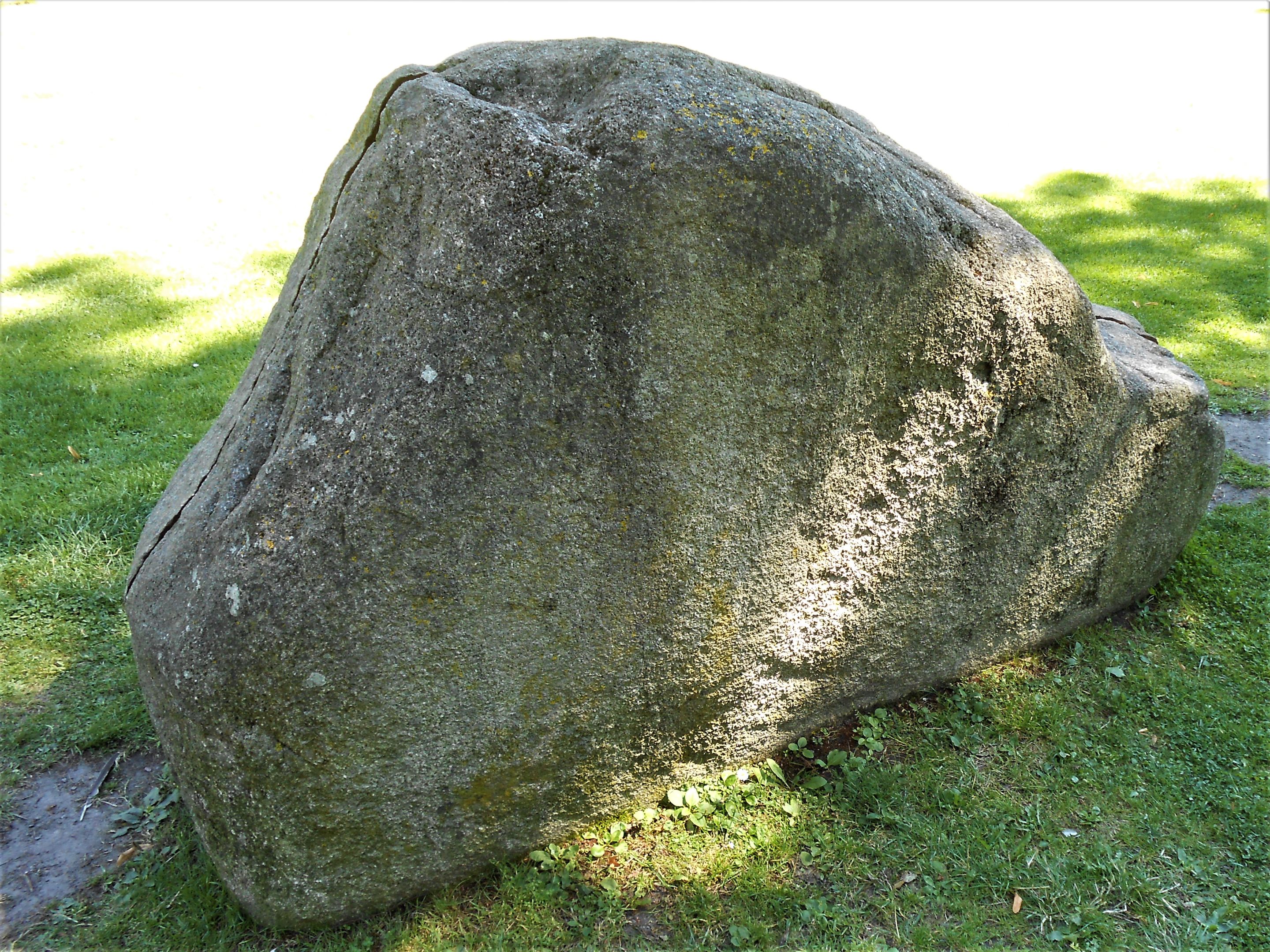 DSCN0337 (2).JPG