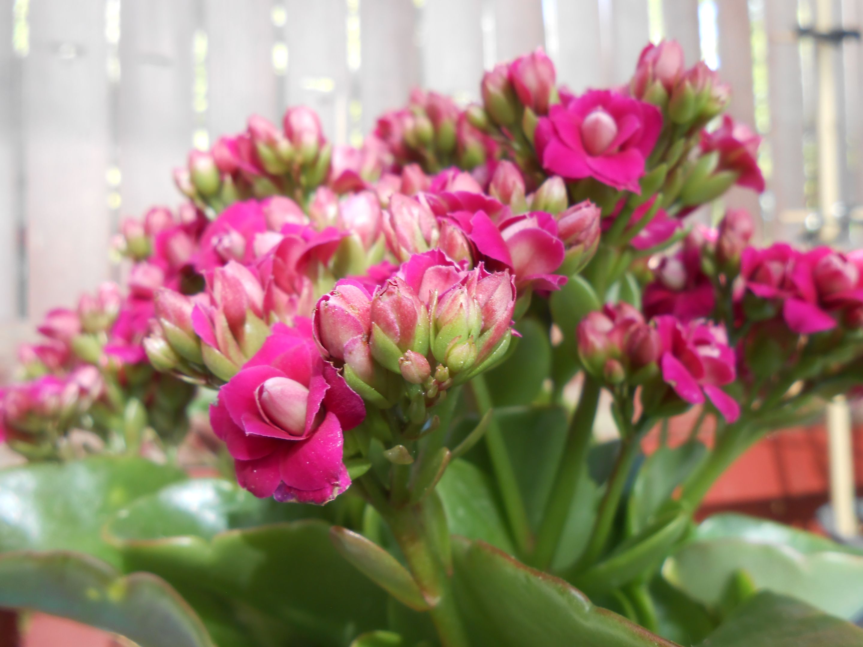 DSCN3491.JPG