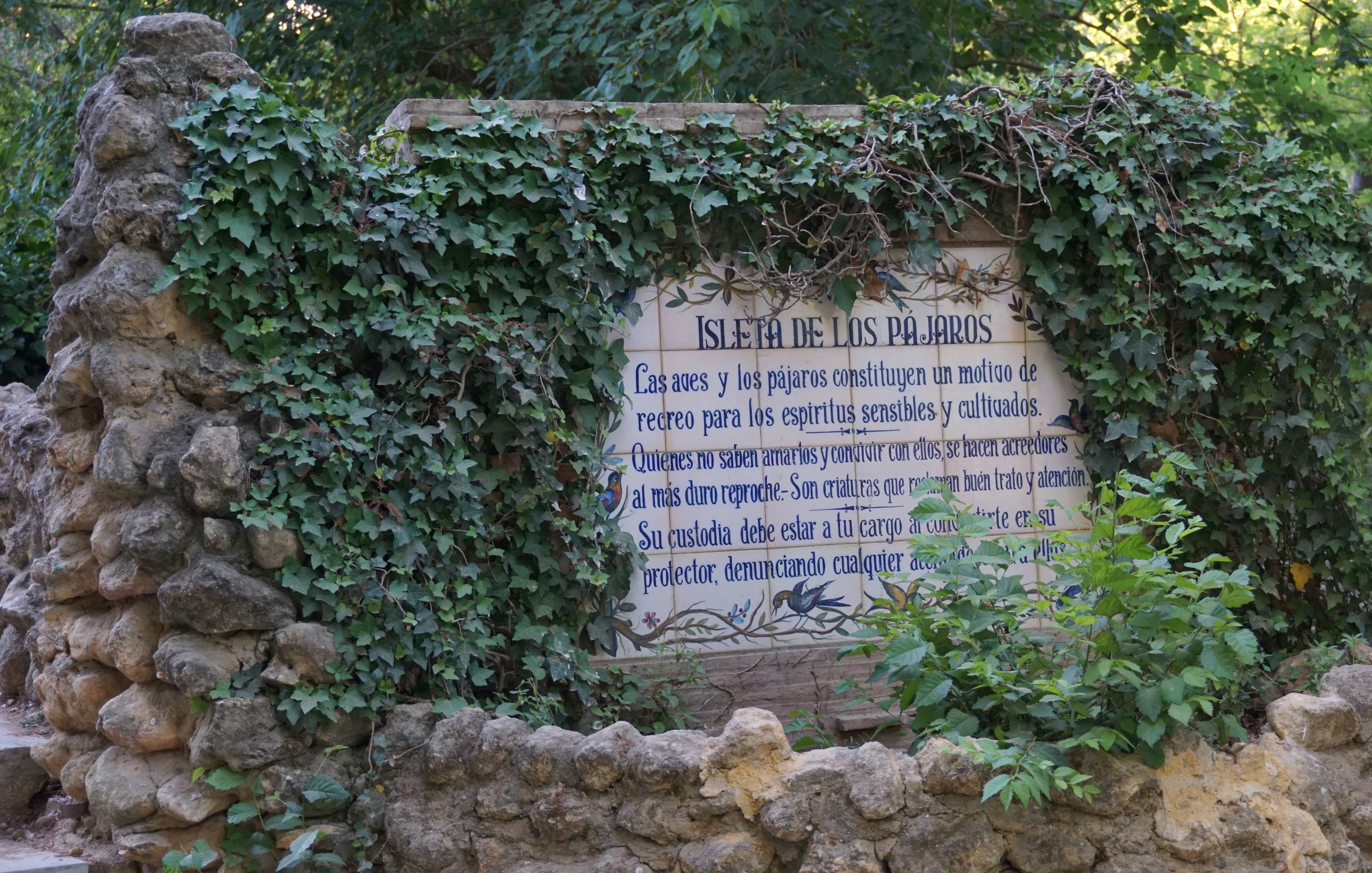 DSC01445 (2).JPG