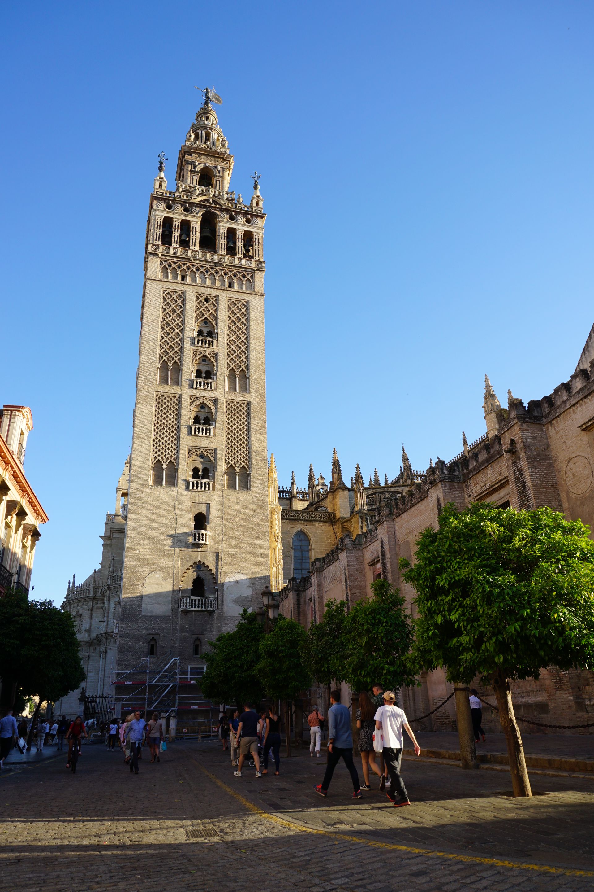 DSC01374.JPG