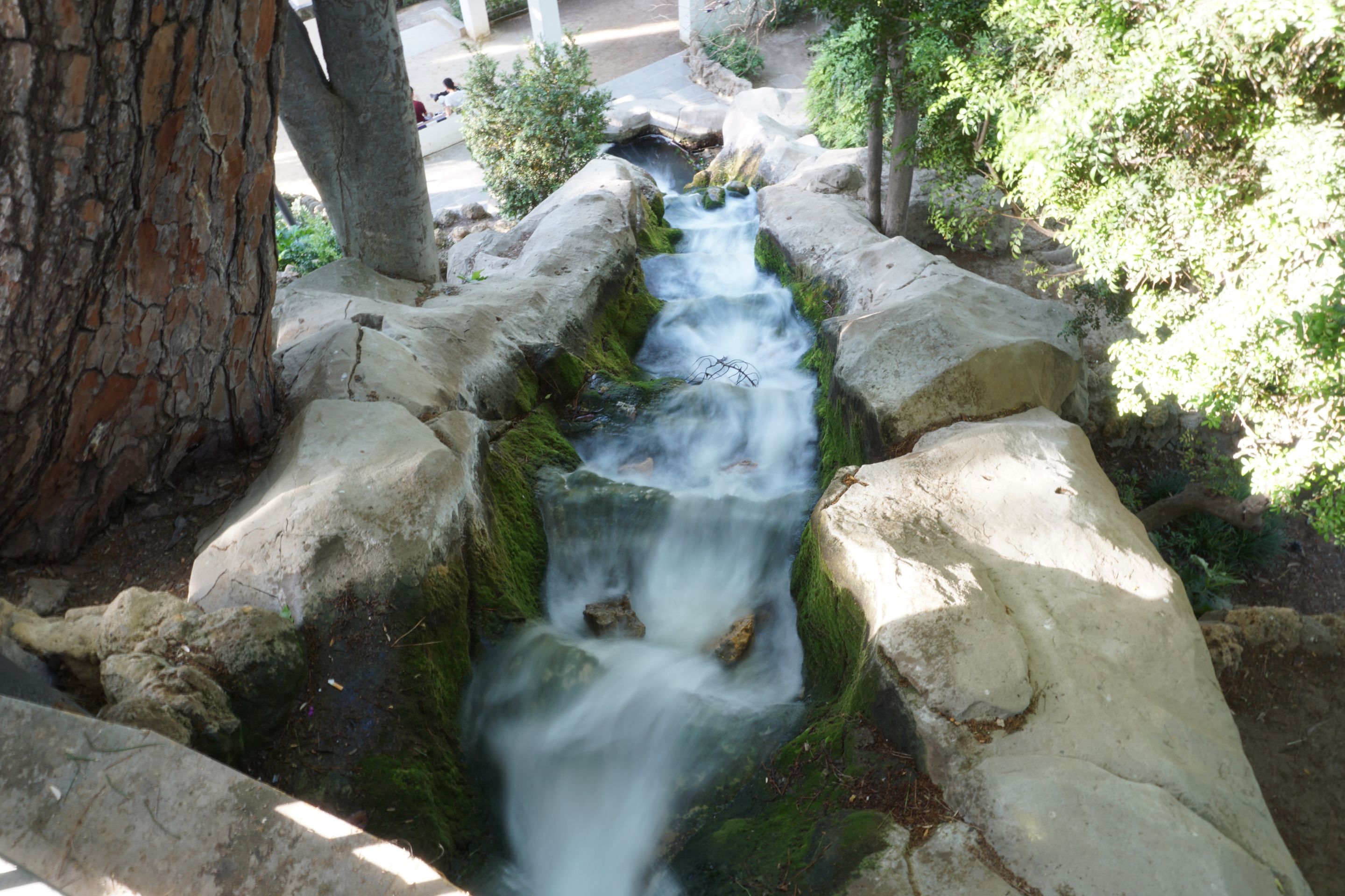 DSC01423.JPG