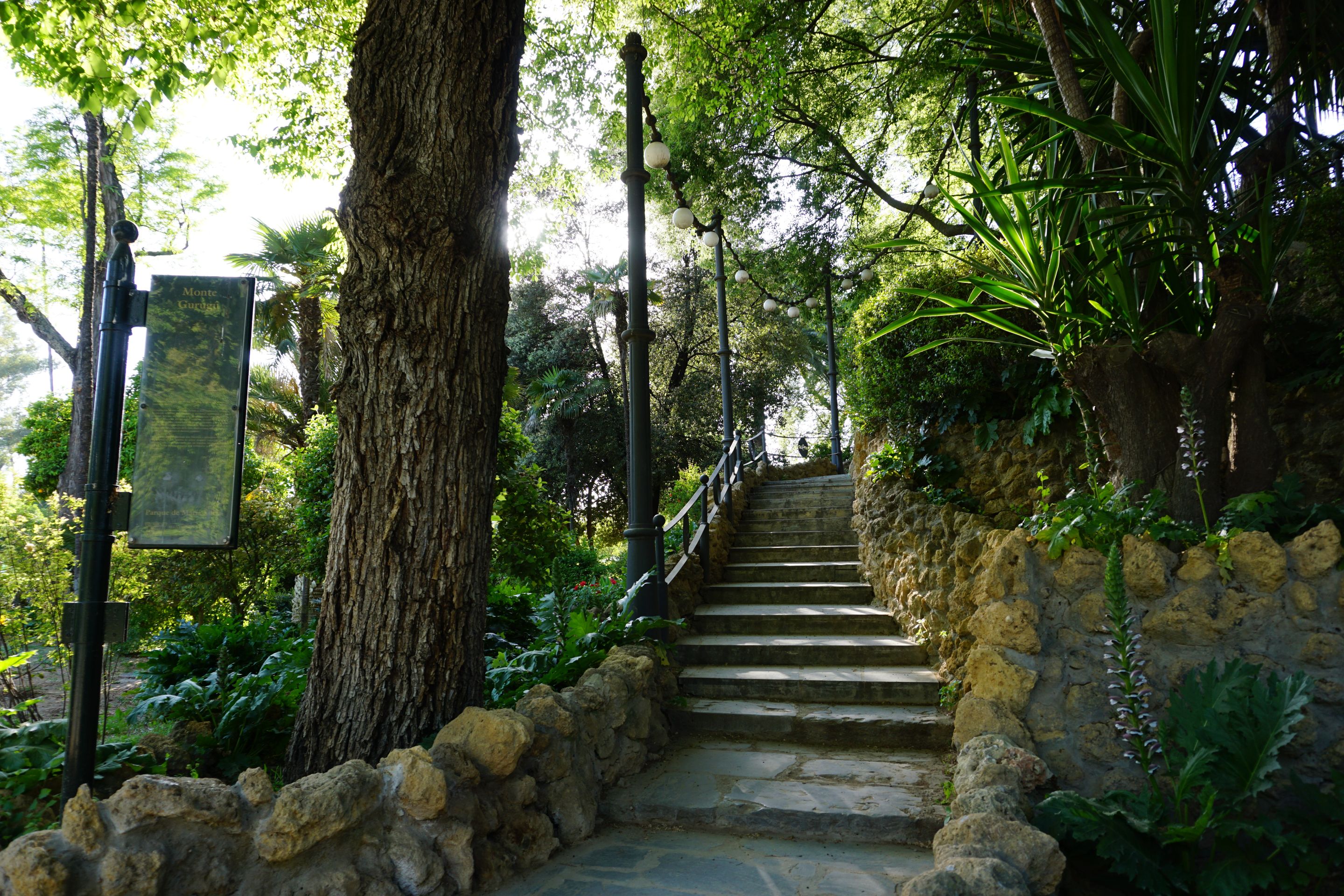 DSC01420.JPG