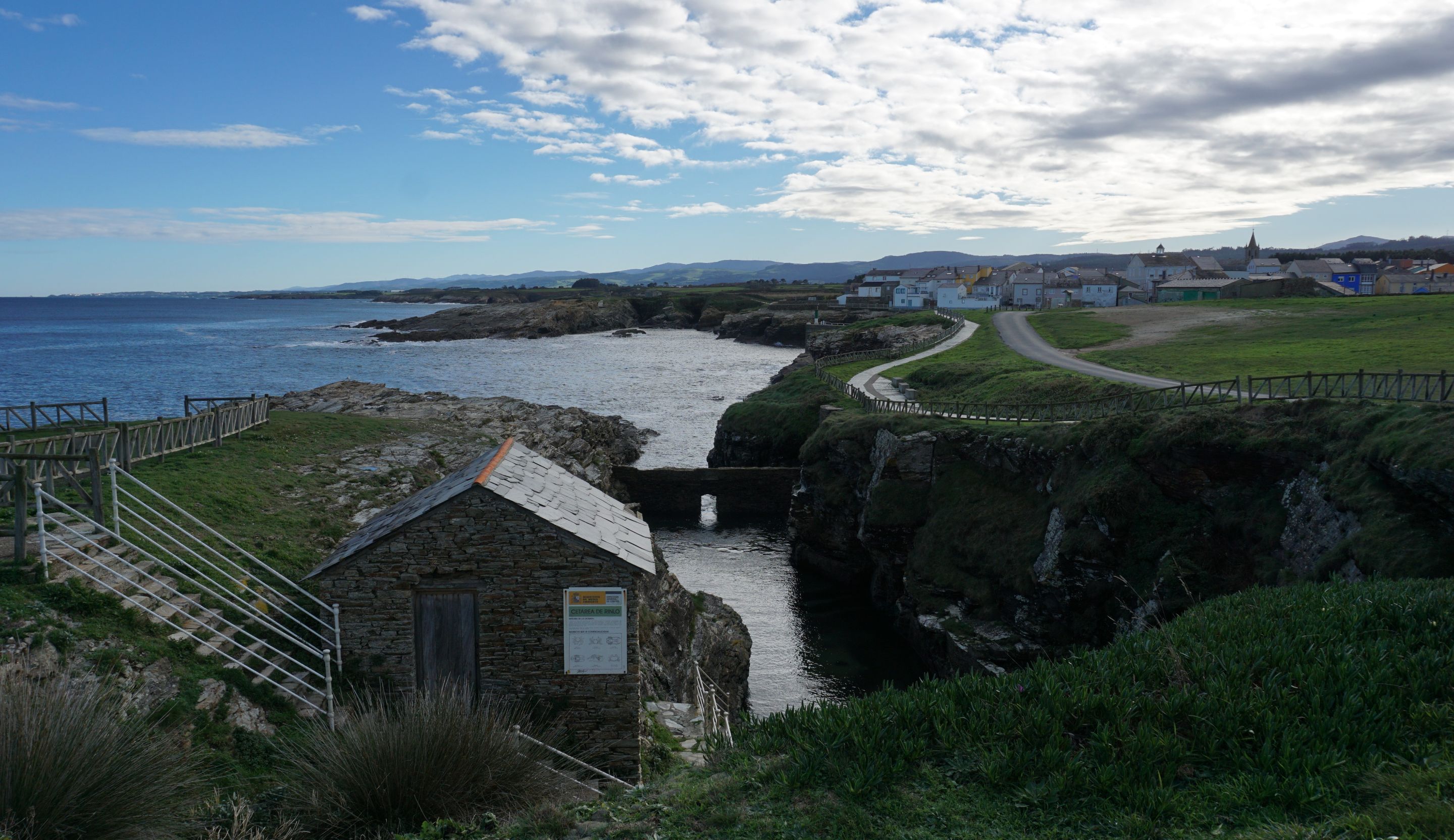 DSC00491 (2).JPG