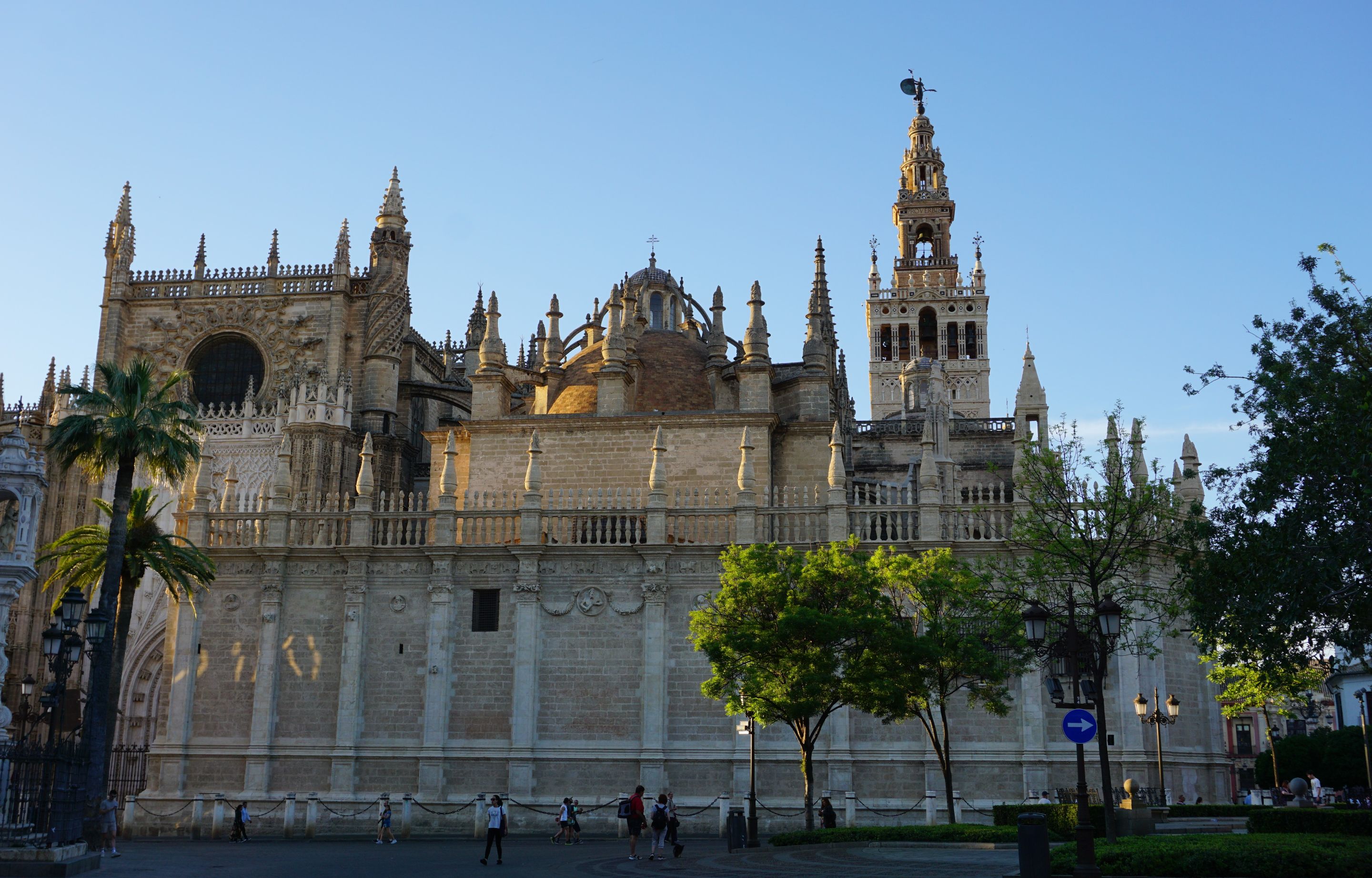 DSC01388 (2).JPG