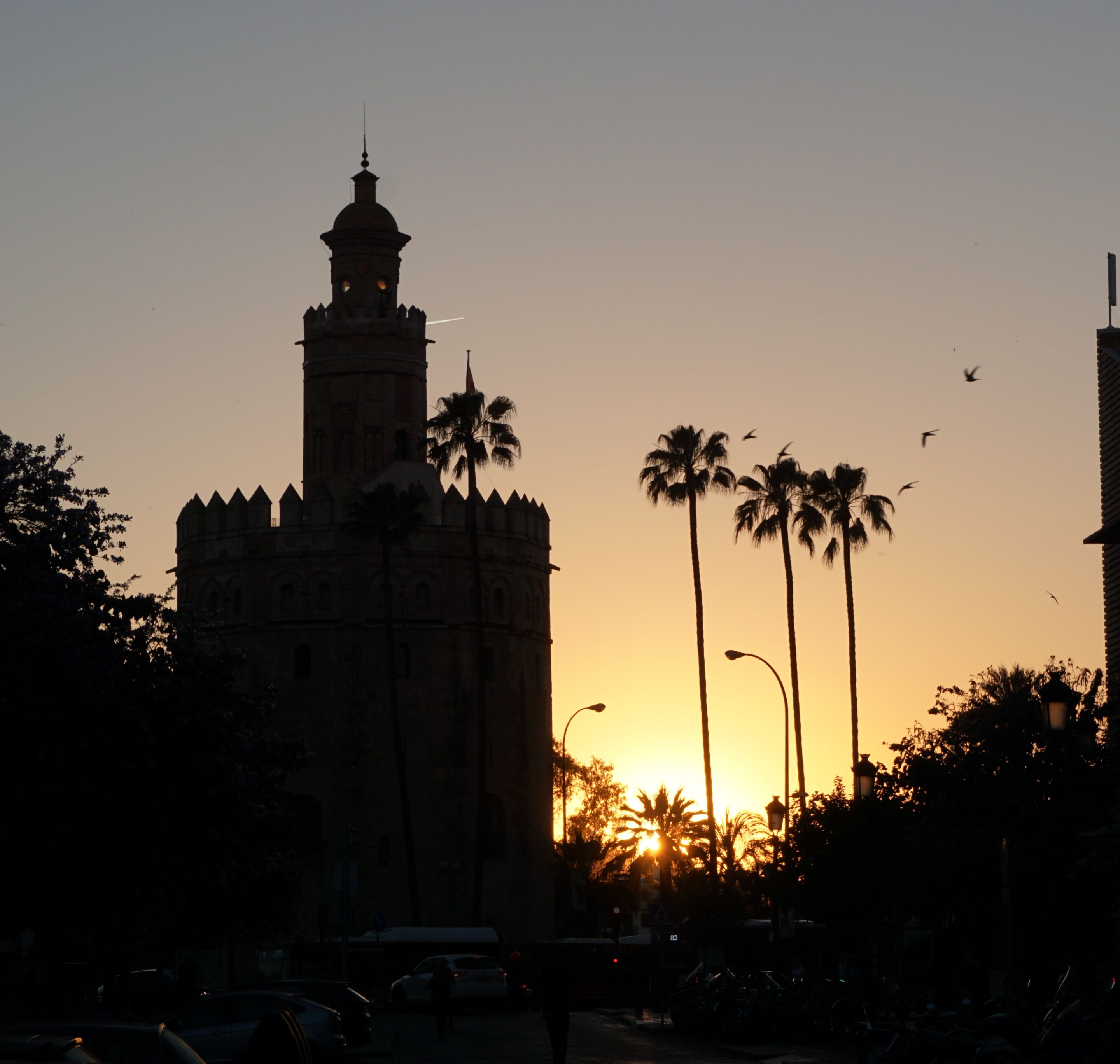 DSC01396 (2).JPG