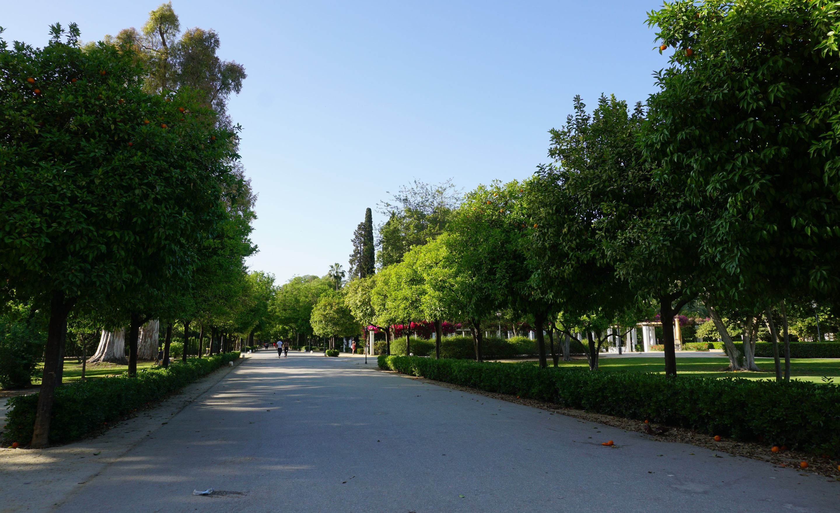 DSC01419 (2).JPG
