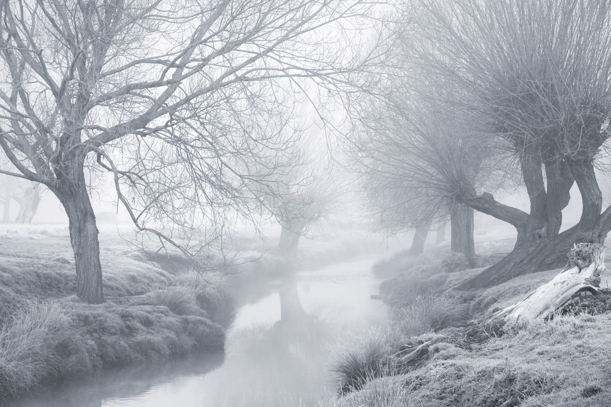 FoggyBrook_BW-3.jpg
