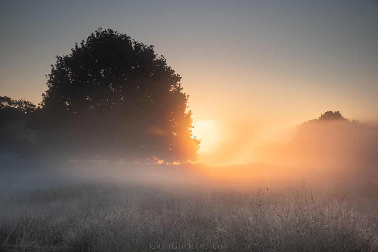 2022-7-10_WarmMist-4.jpg