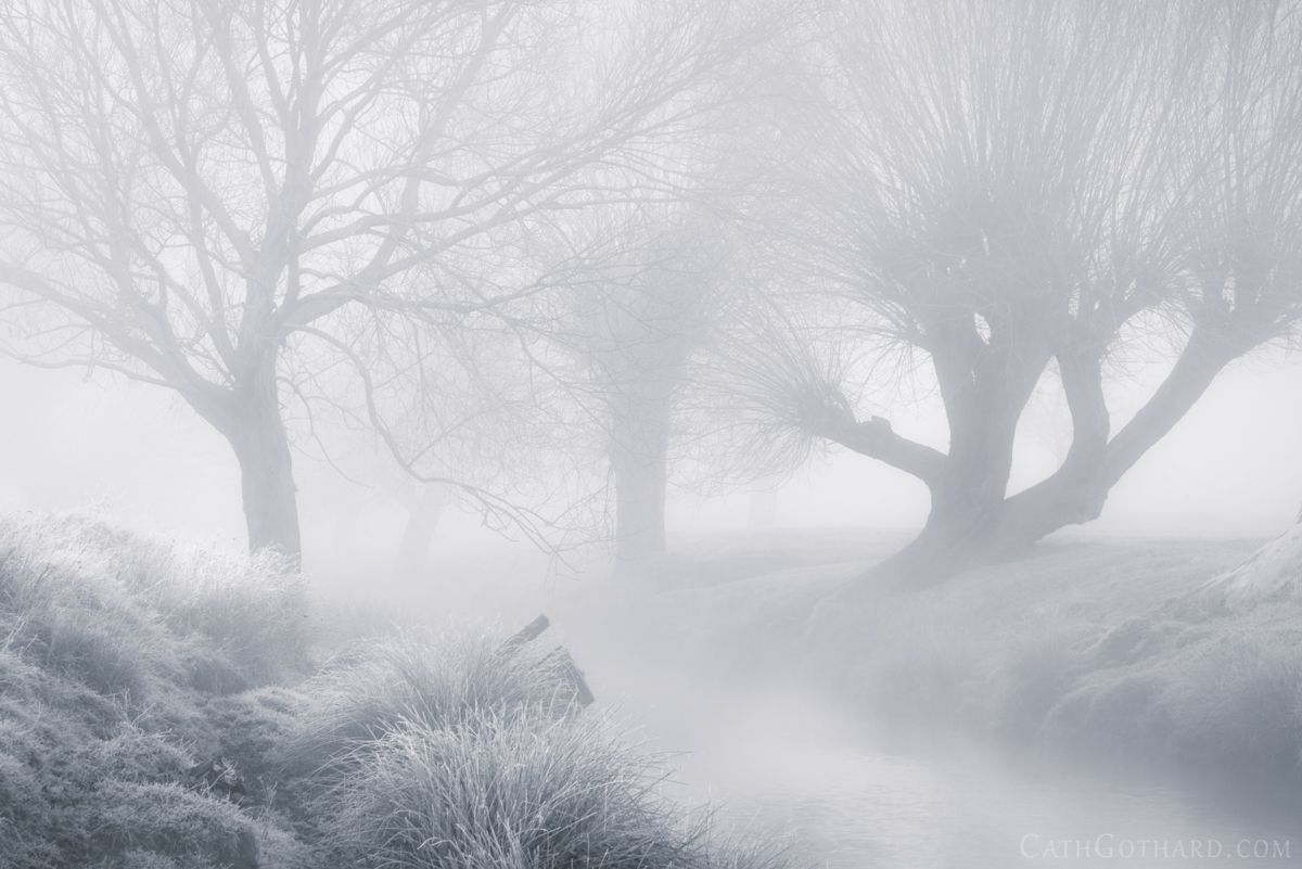 FoggyBrook_BW-5.jpg