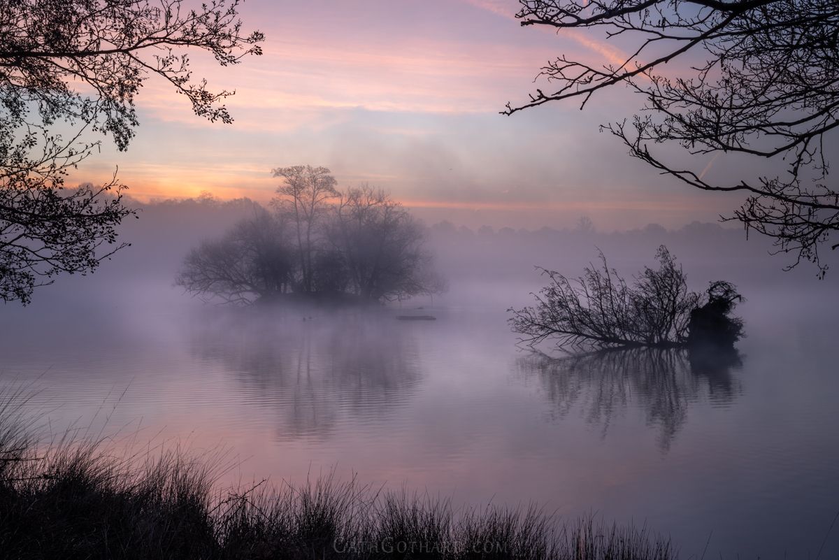 MistyPonds2-1.jpg