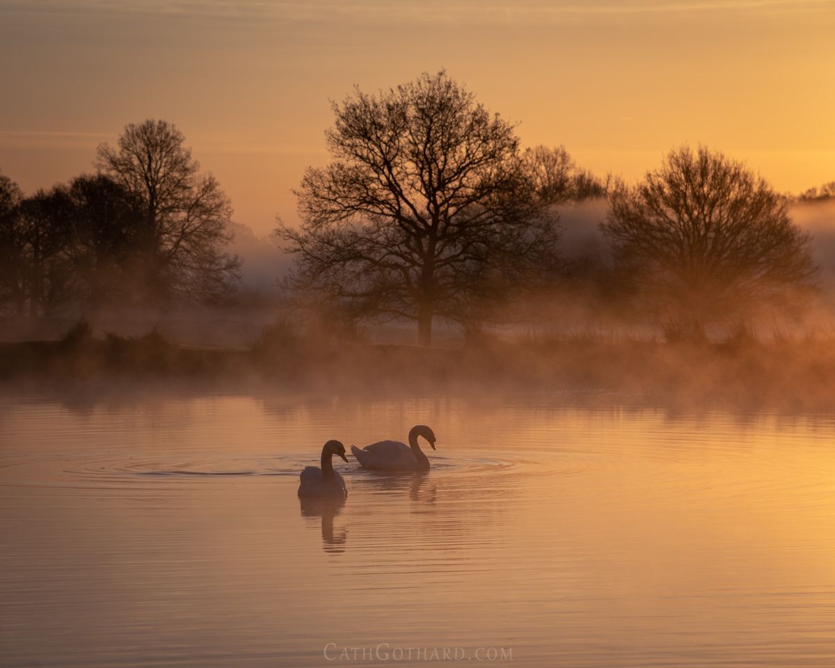MistyPonds2-3.jpg