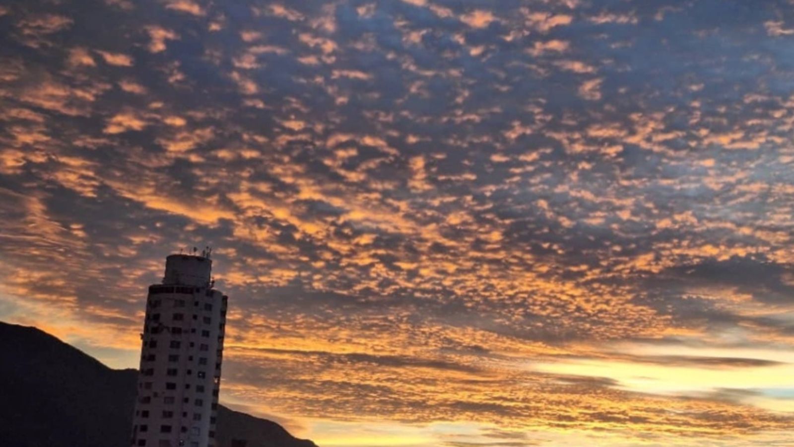 Tejer vínculos- No es bello lo bello sino lo que a uno le gusta (3).jpg