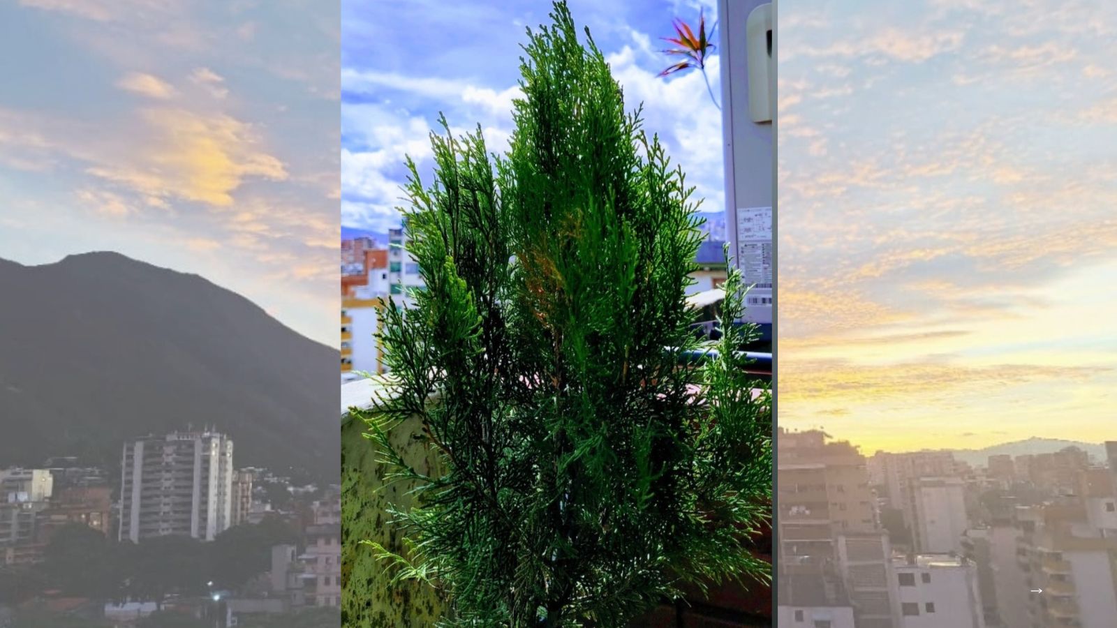 Seguiré avanzando a mi propio ritmo (3).jpg