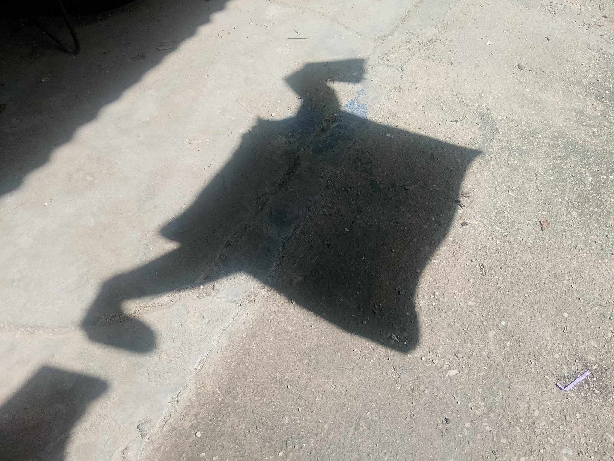 la2.jpg