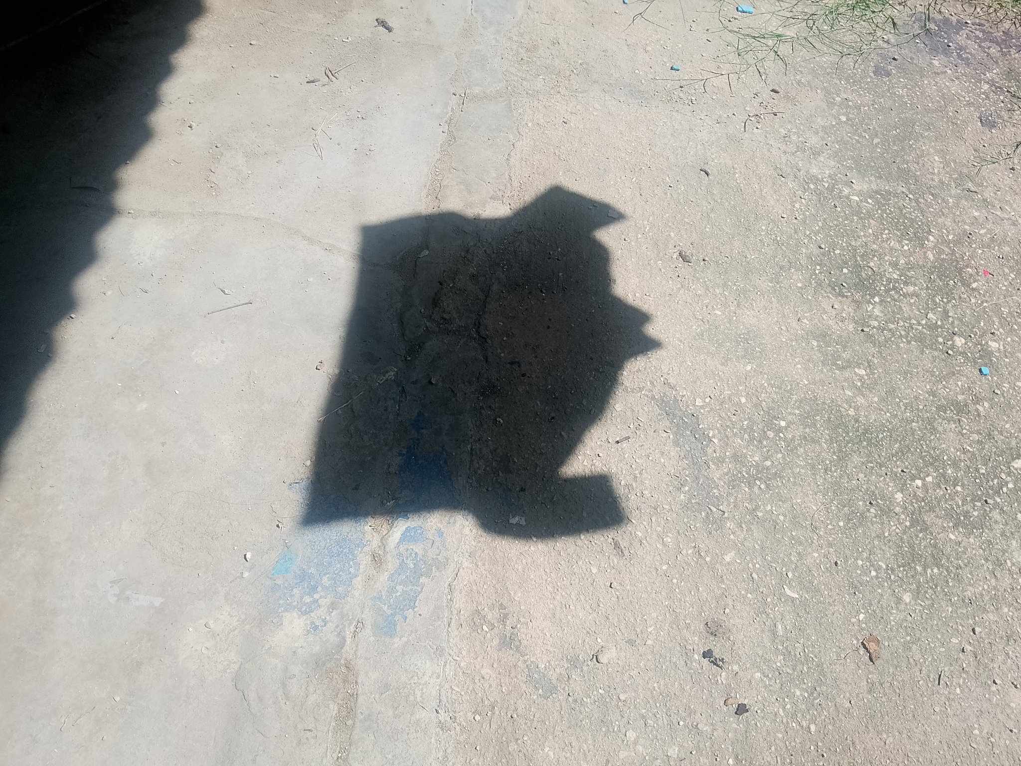 la6.jpg