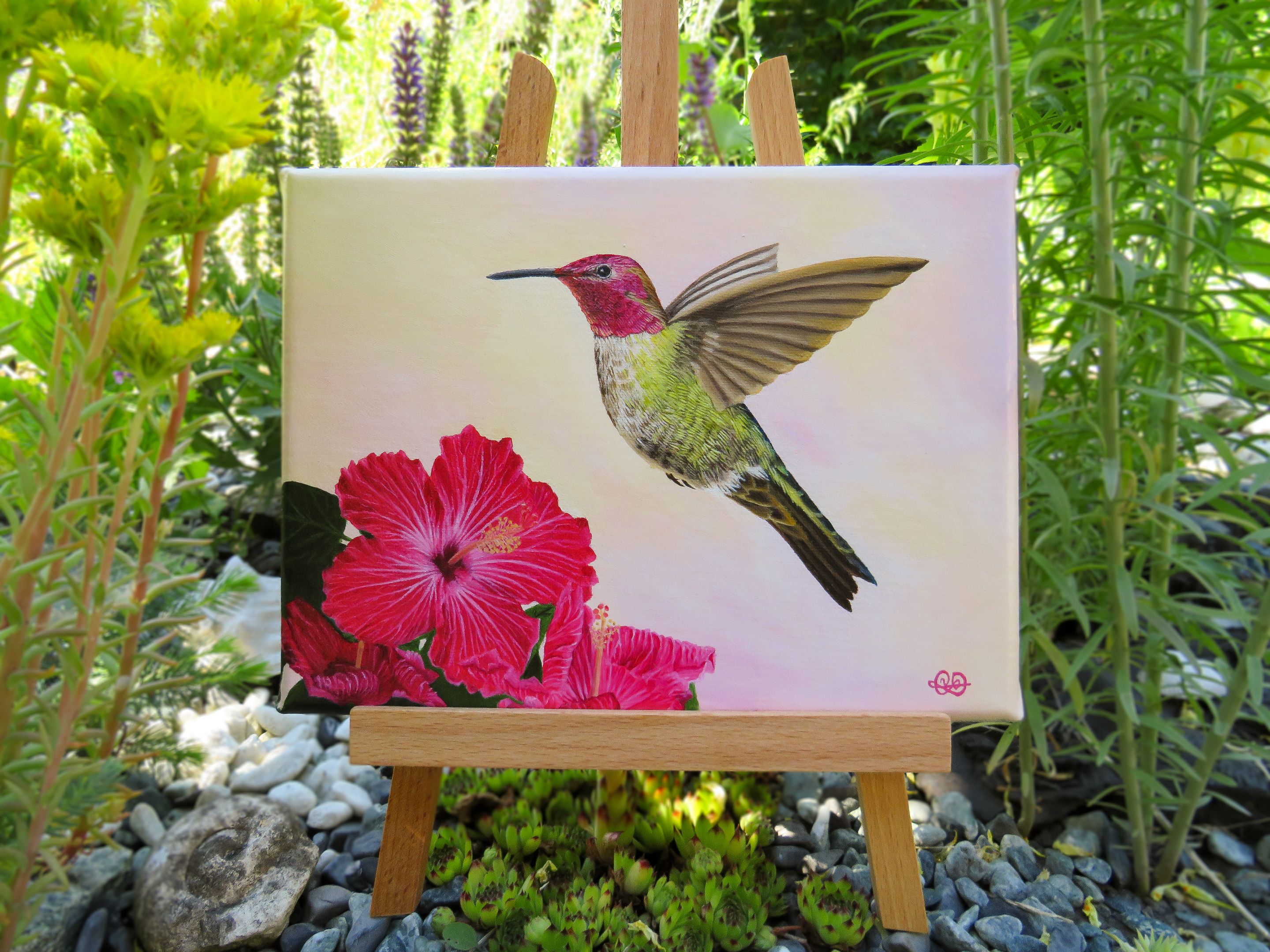 Colibri7.jpg