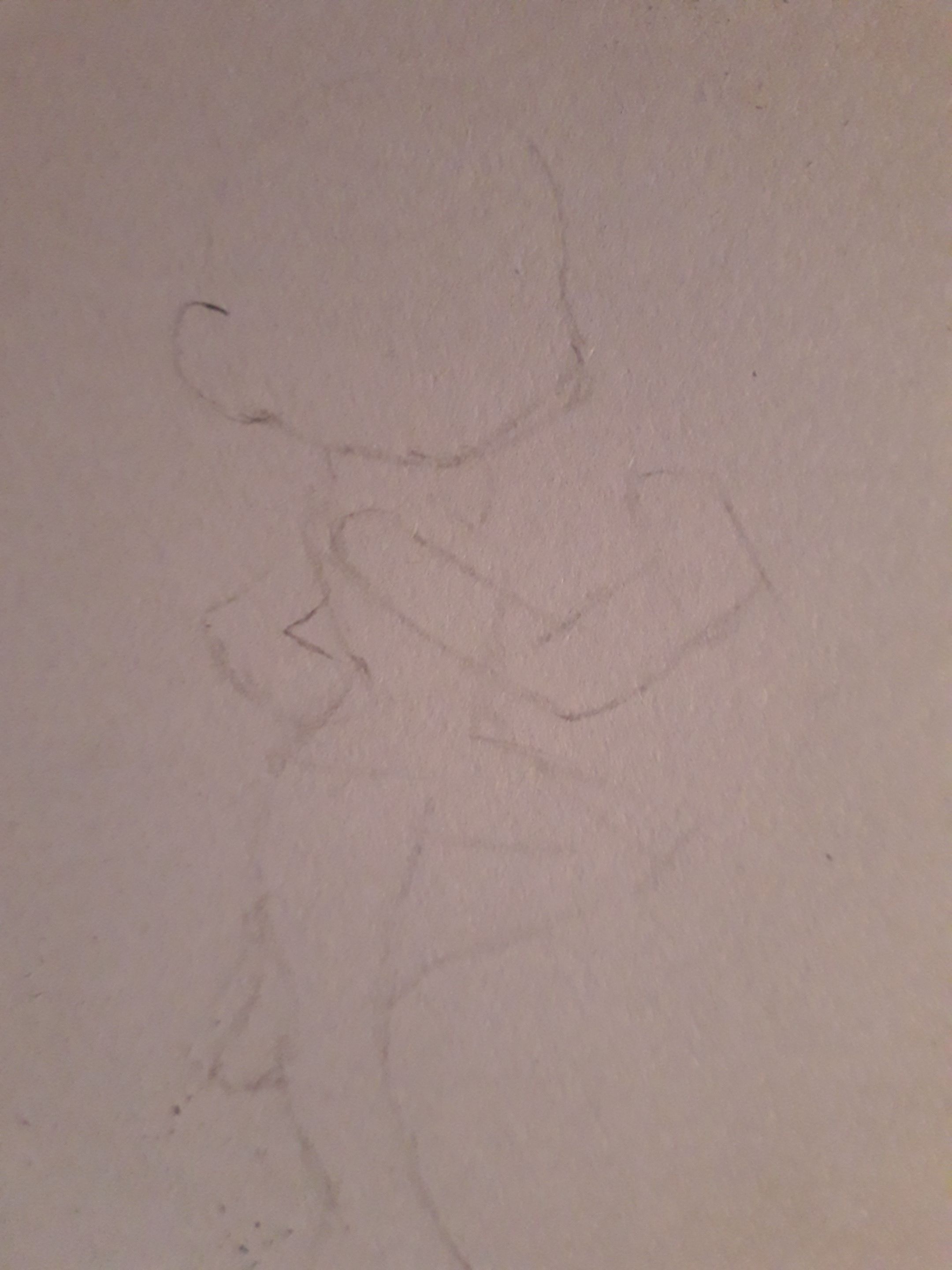20250427_140214.jpg