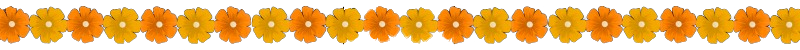 Diseño_sin_título__8_-removebg-preview.png