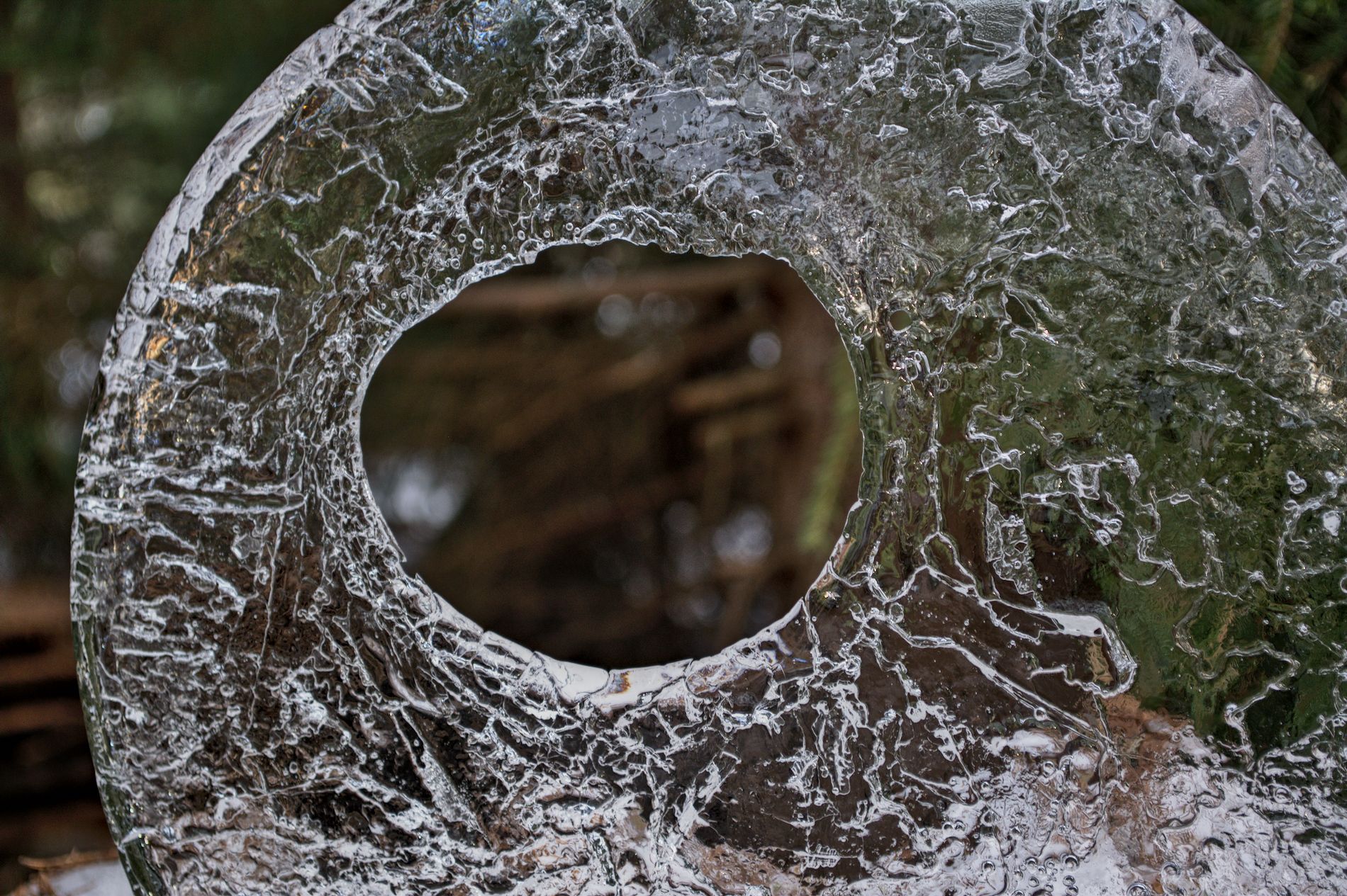 DSC_0832.jpg