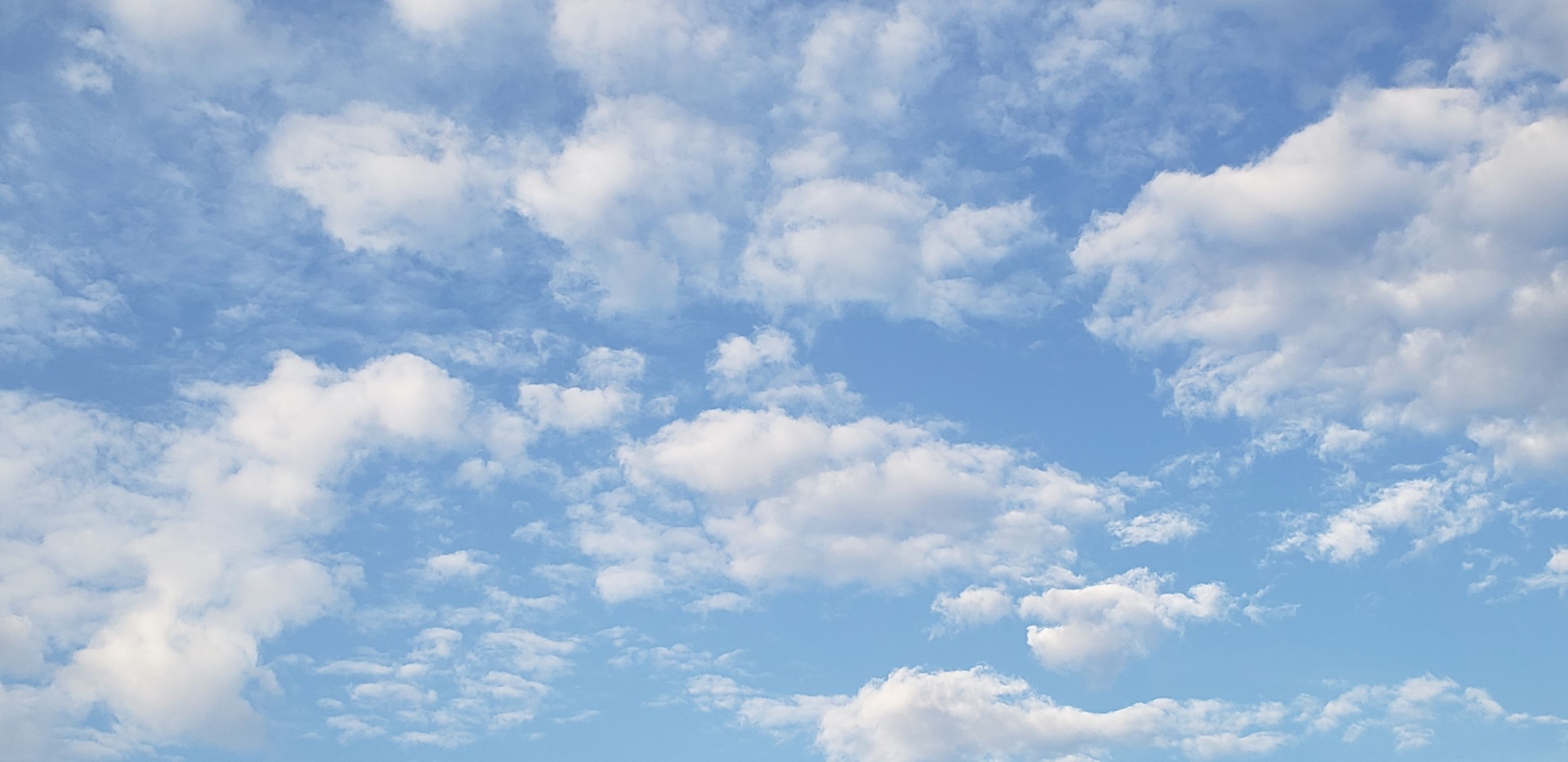 20190904_173354.jpg