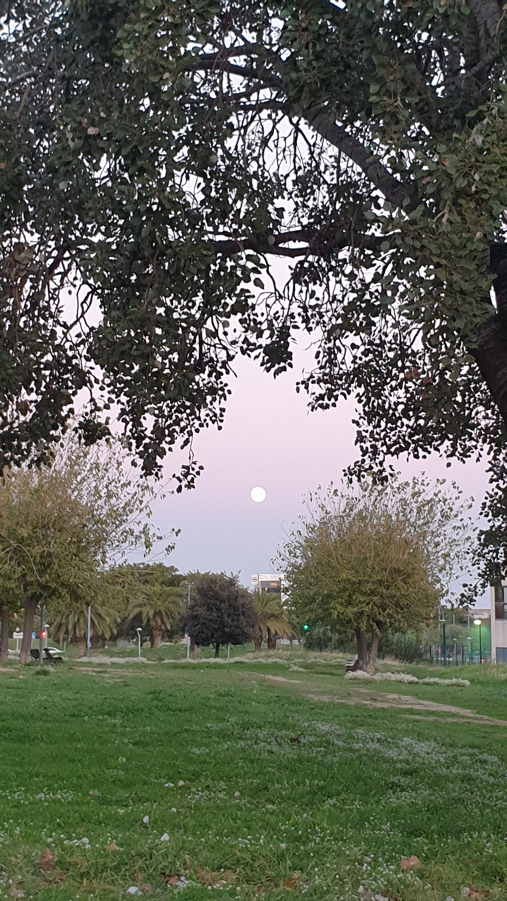 20211118_173221.jpg