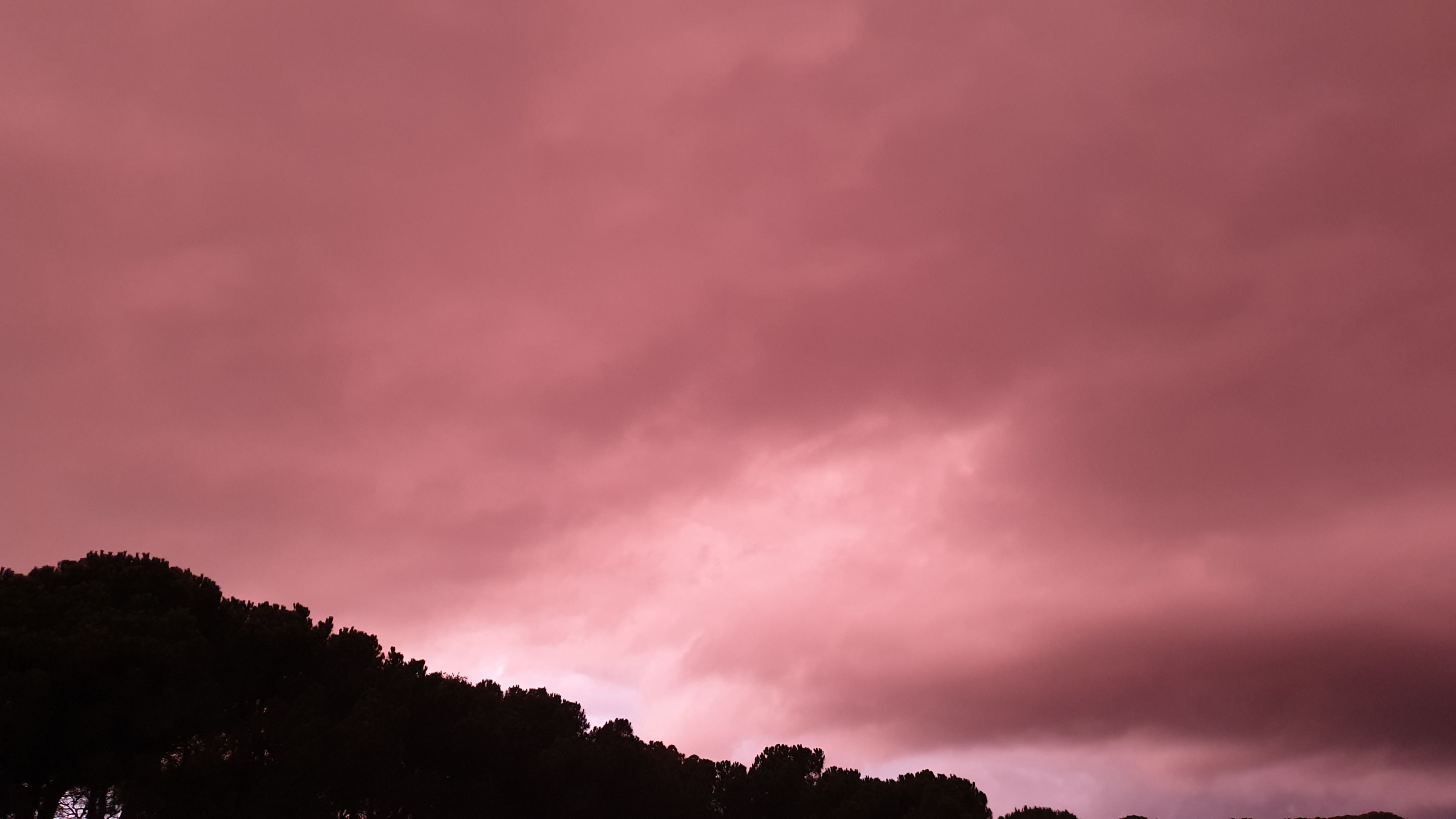 20220214_182534.jpg