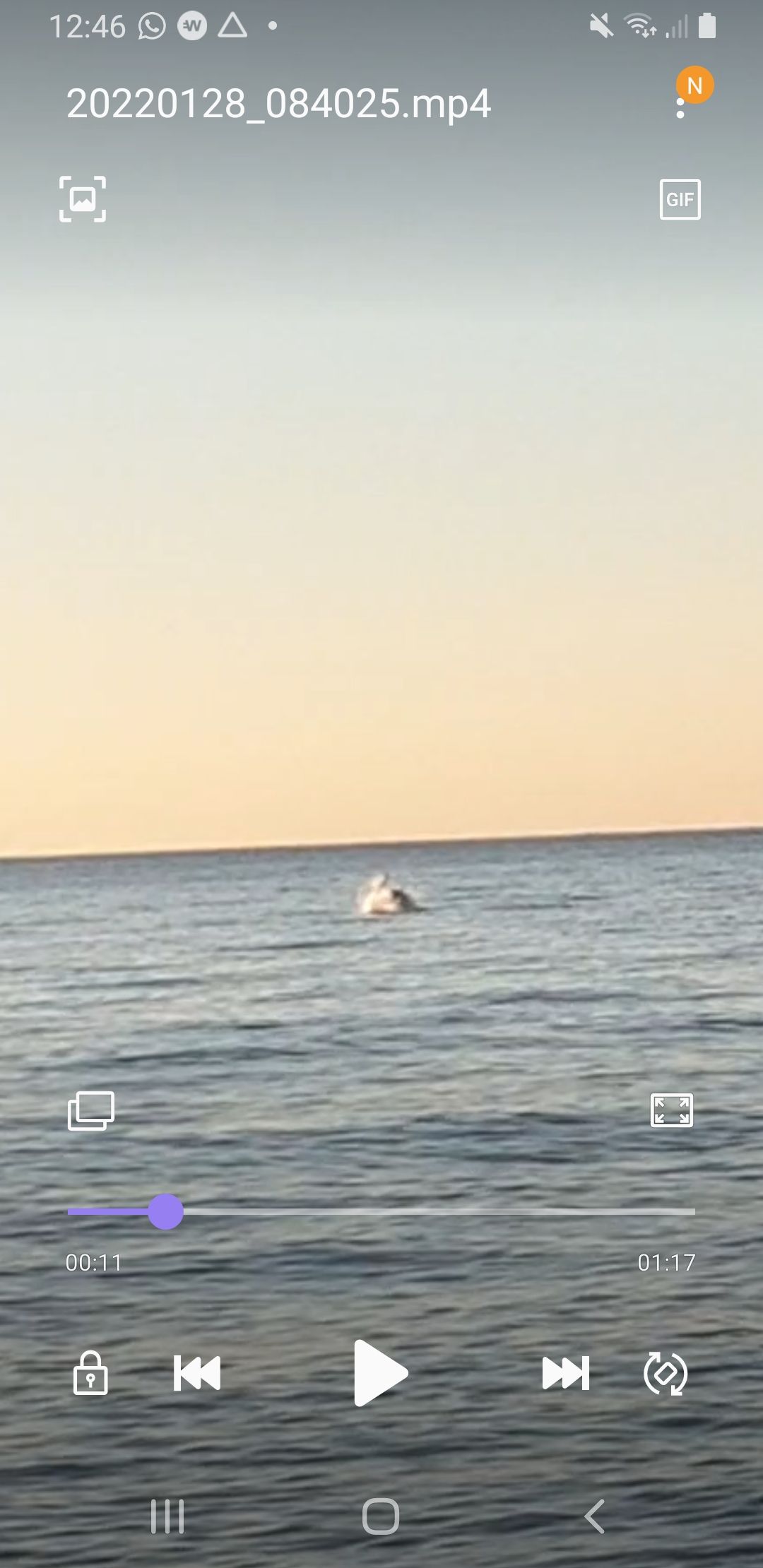 Screenshot_20220128-124632_Video Player.jpg
