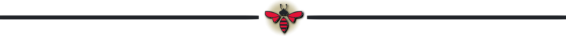 677673E1-A206-48A9-81F8-6A8FFE090BD6.png
