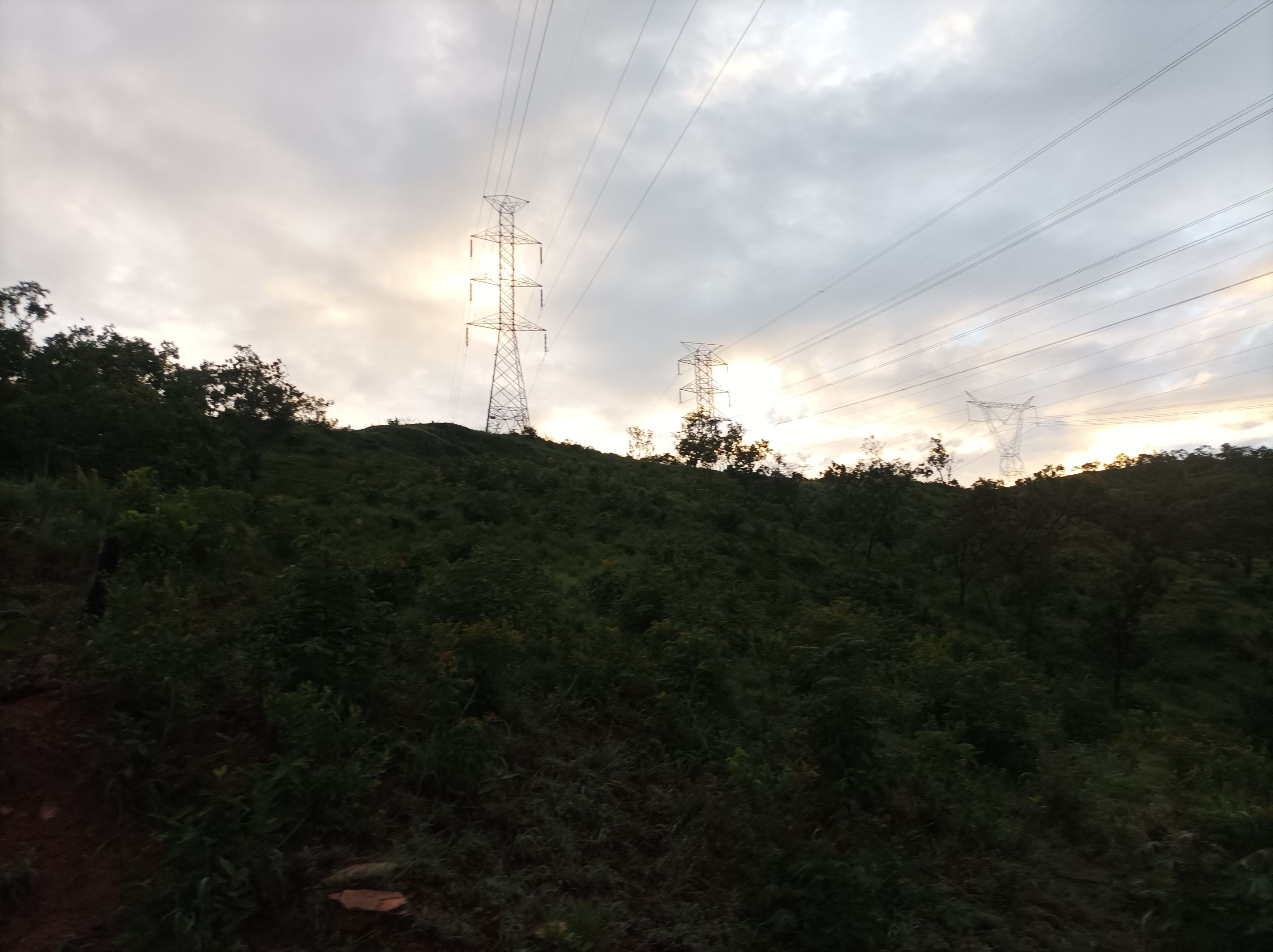 IMG_20250810_063446.jpg