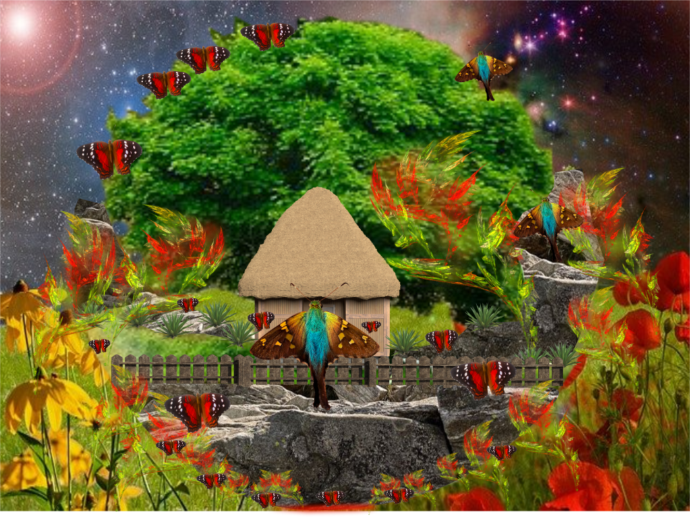 collage-final01.png