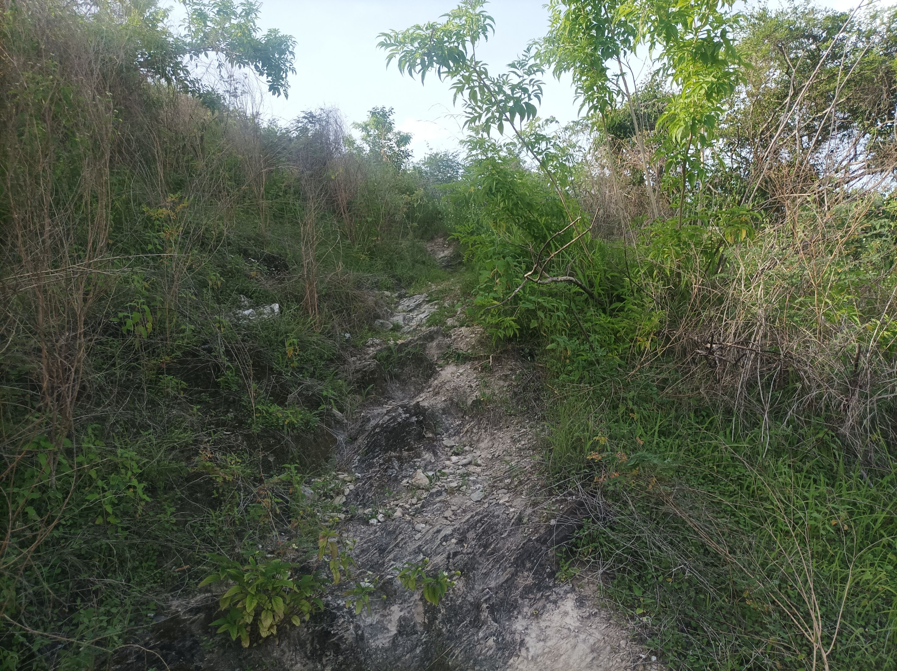 Entrenamiento de Caminata de Montaña Los Chivos - Taguaguay 10K