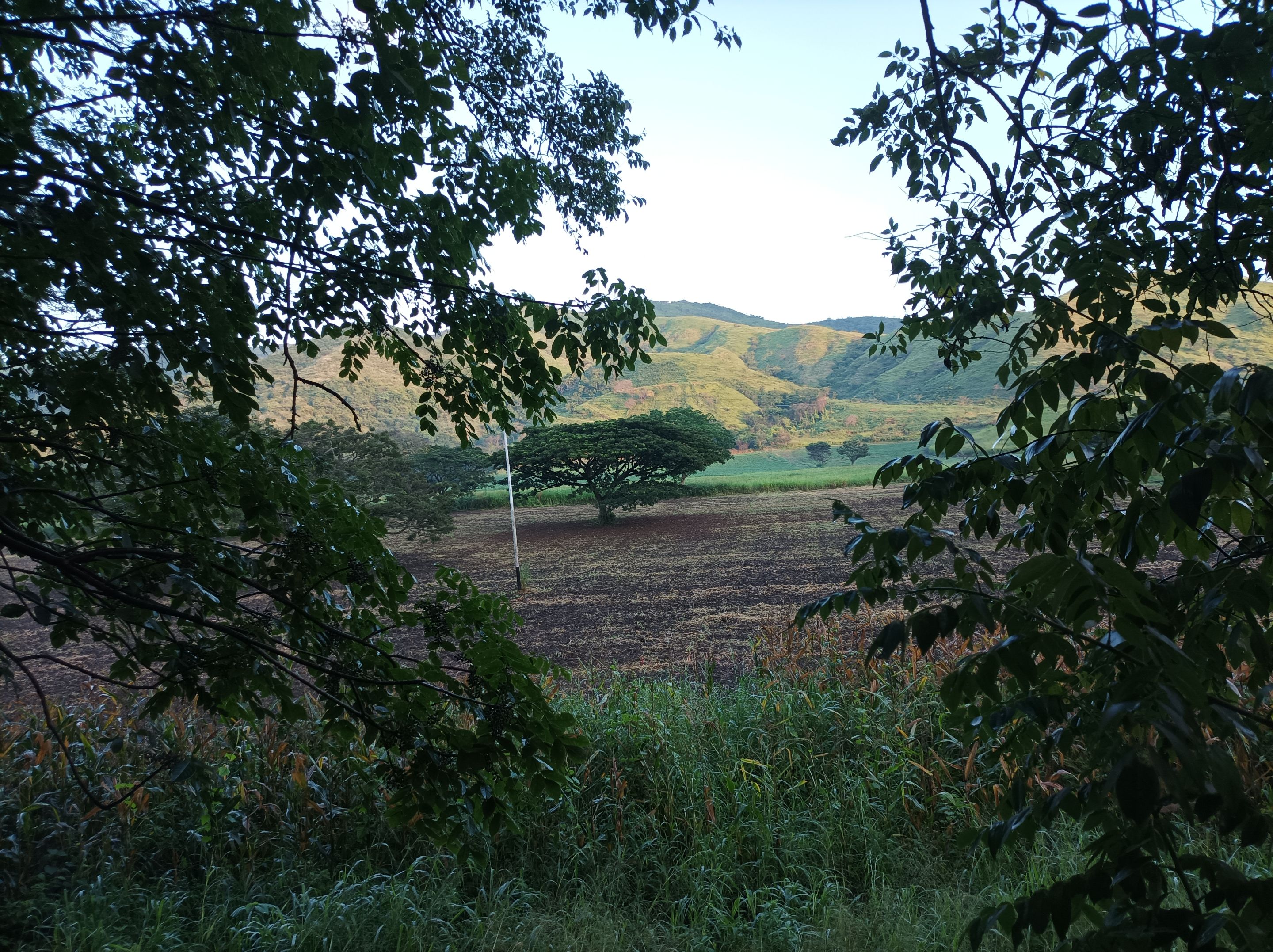 IMG_20250921_064349.jpg
