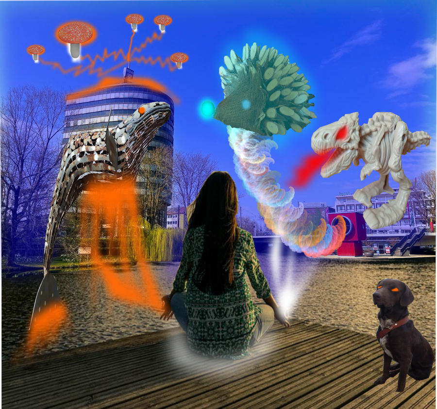 collage00.png