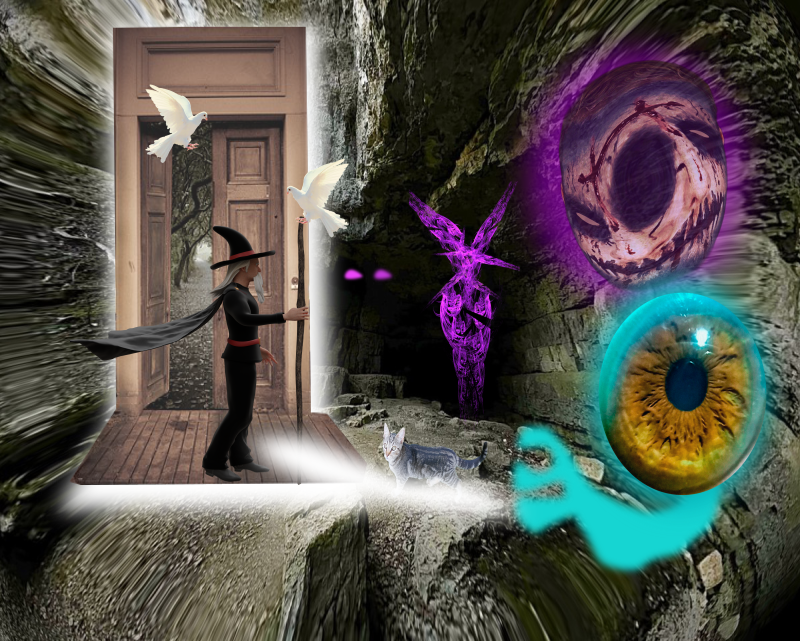 collage-final.png