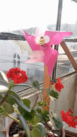 received_647357213137900.gif