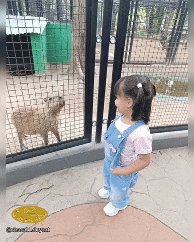 1000107012.gif