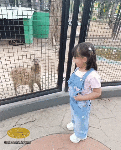 1000107015.gif