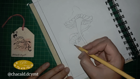 be21f515-e4b4-4a5b-9284-166800411f10.gif