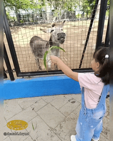 1000107014.gif