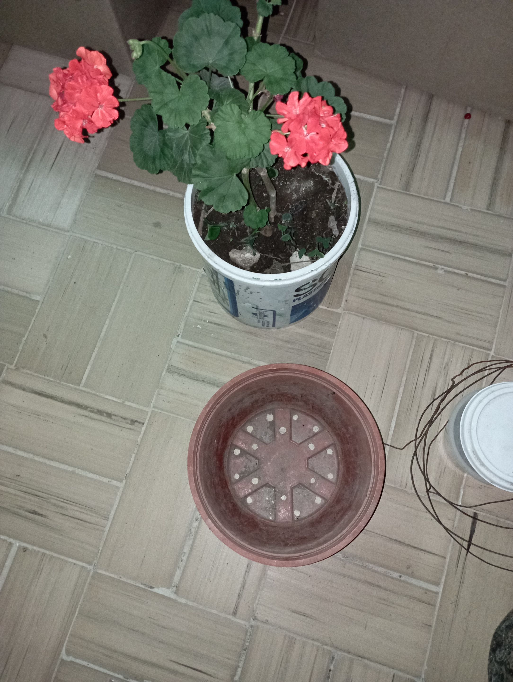 IMG_20220310_193620.jpg