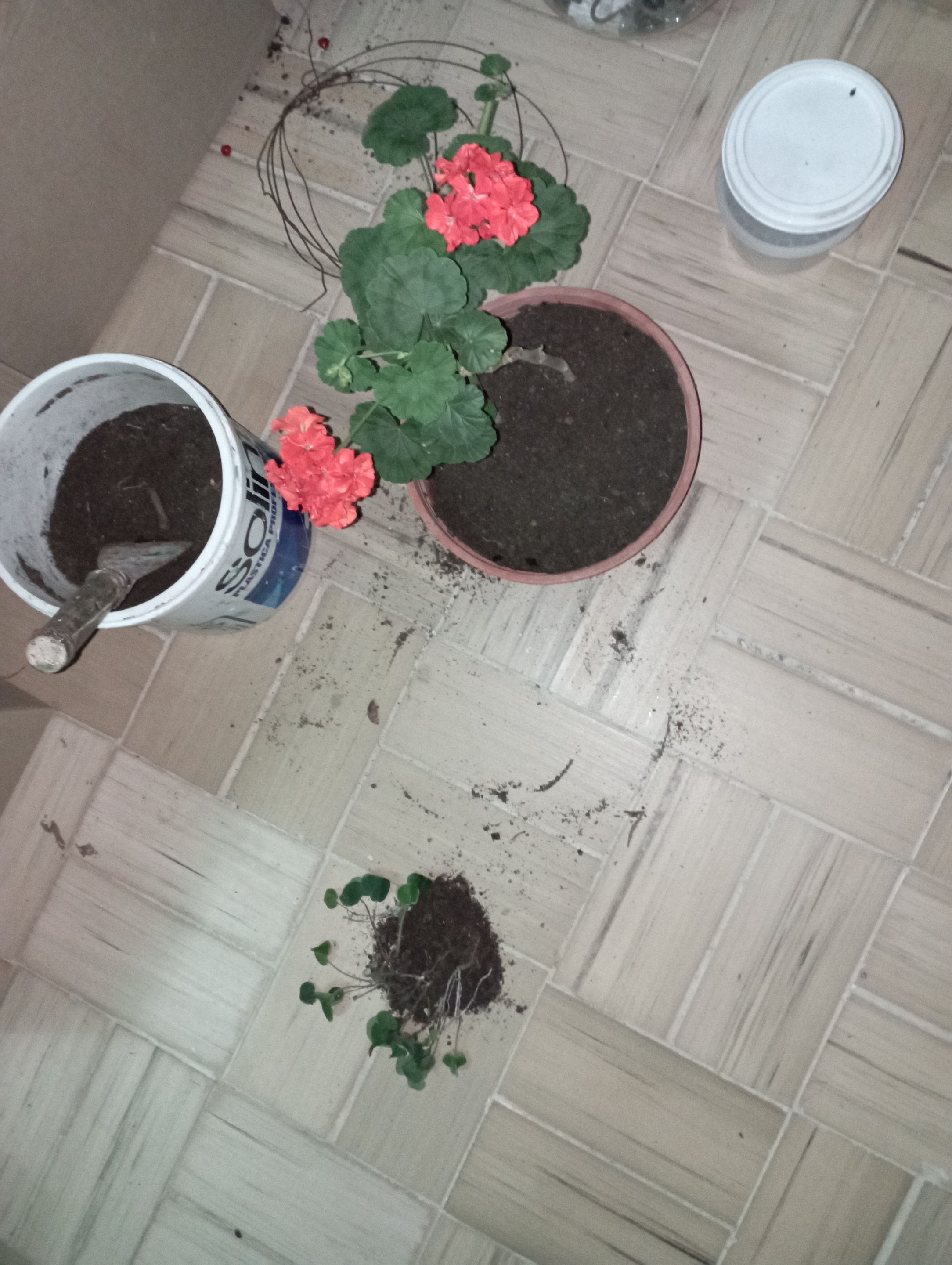 IMG_20220310_195258.jpg