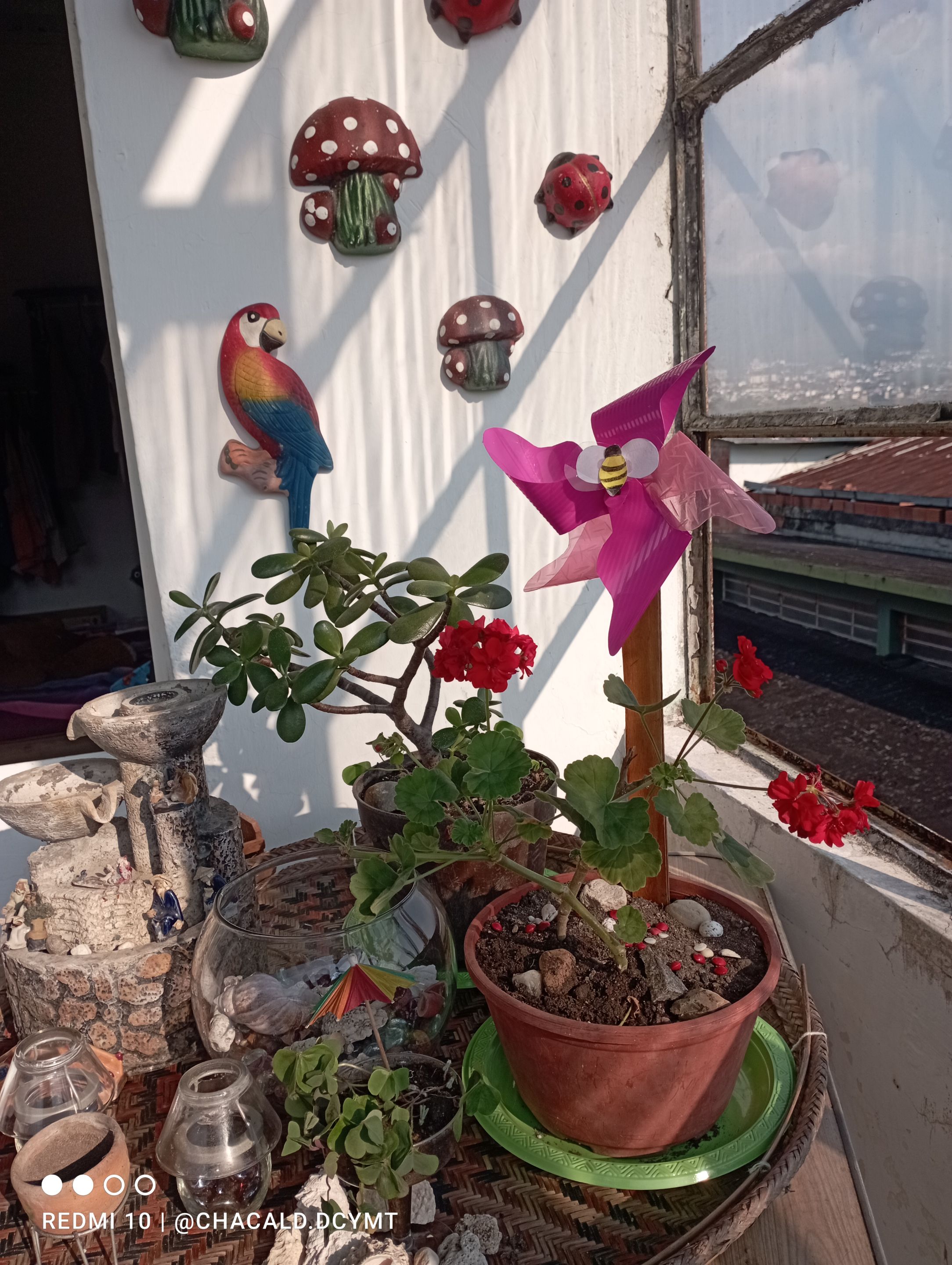 IMG_20220316_170722.jpg