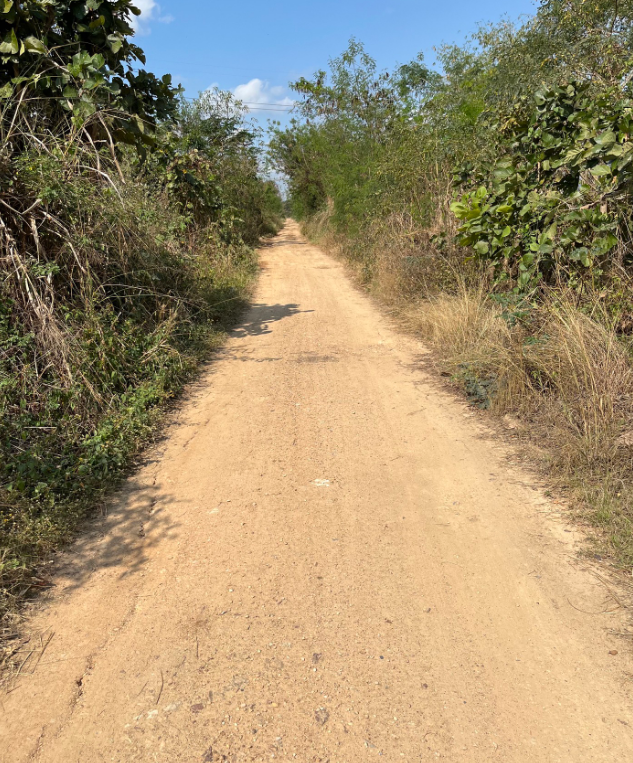 A trail run that overhead looks like nature