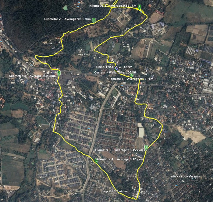 A trail run that overhead looks like nature