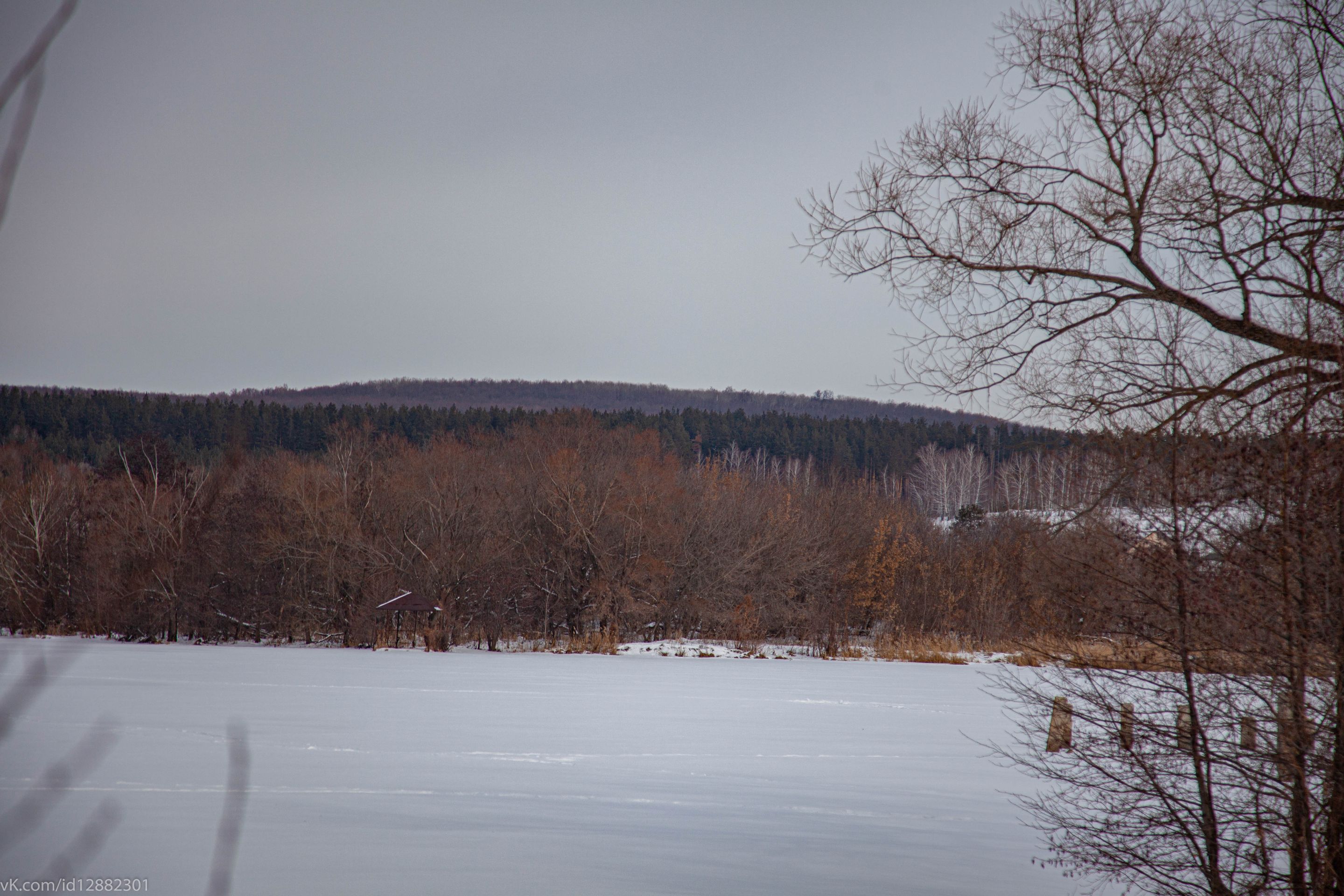 IMG_9069.jpg