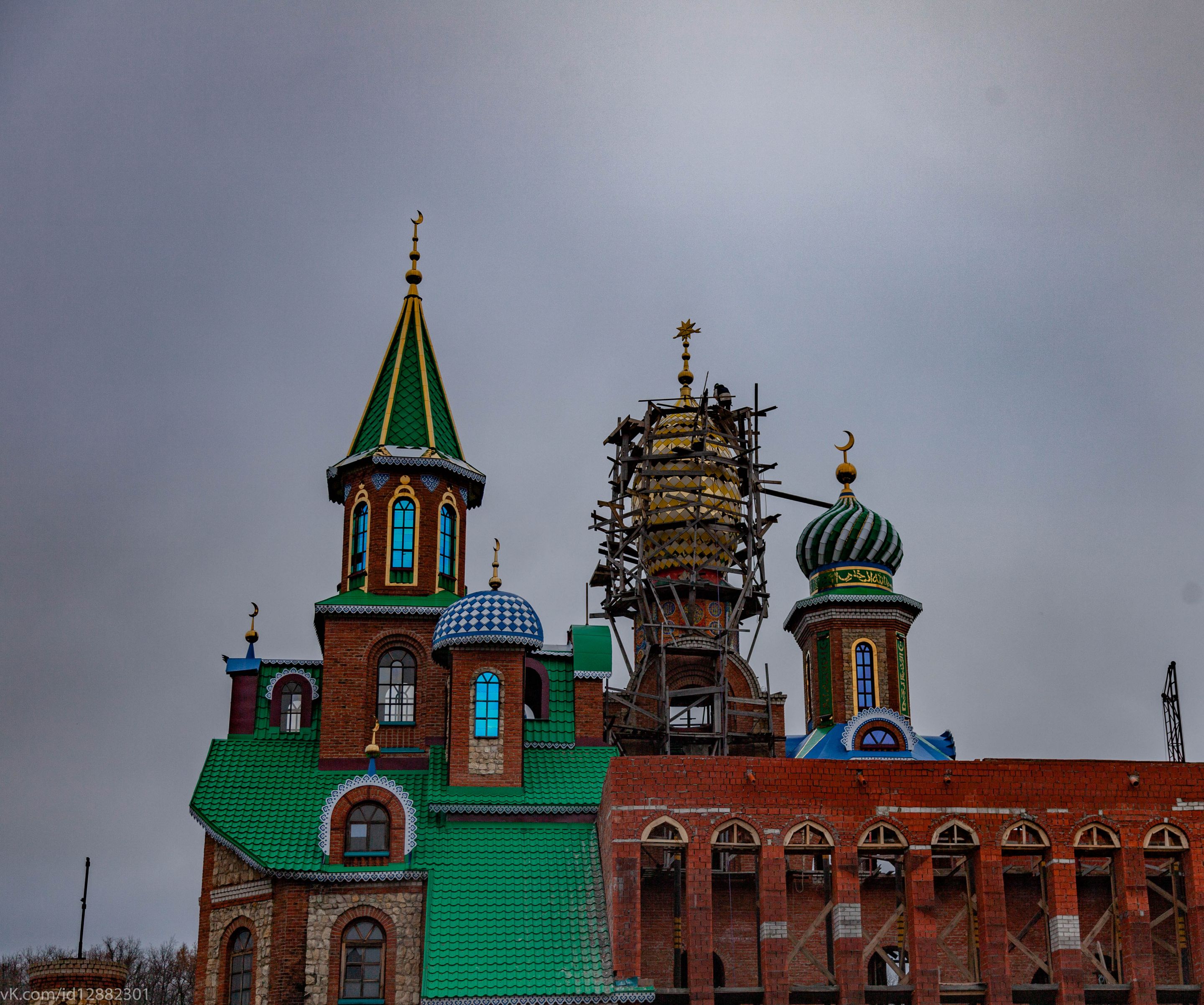 IMG_8023.jpg