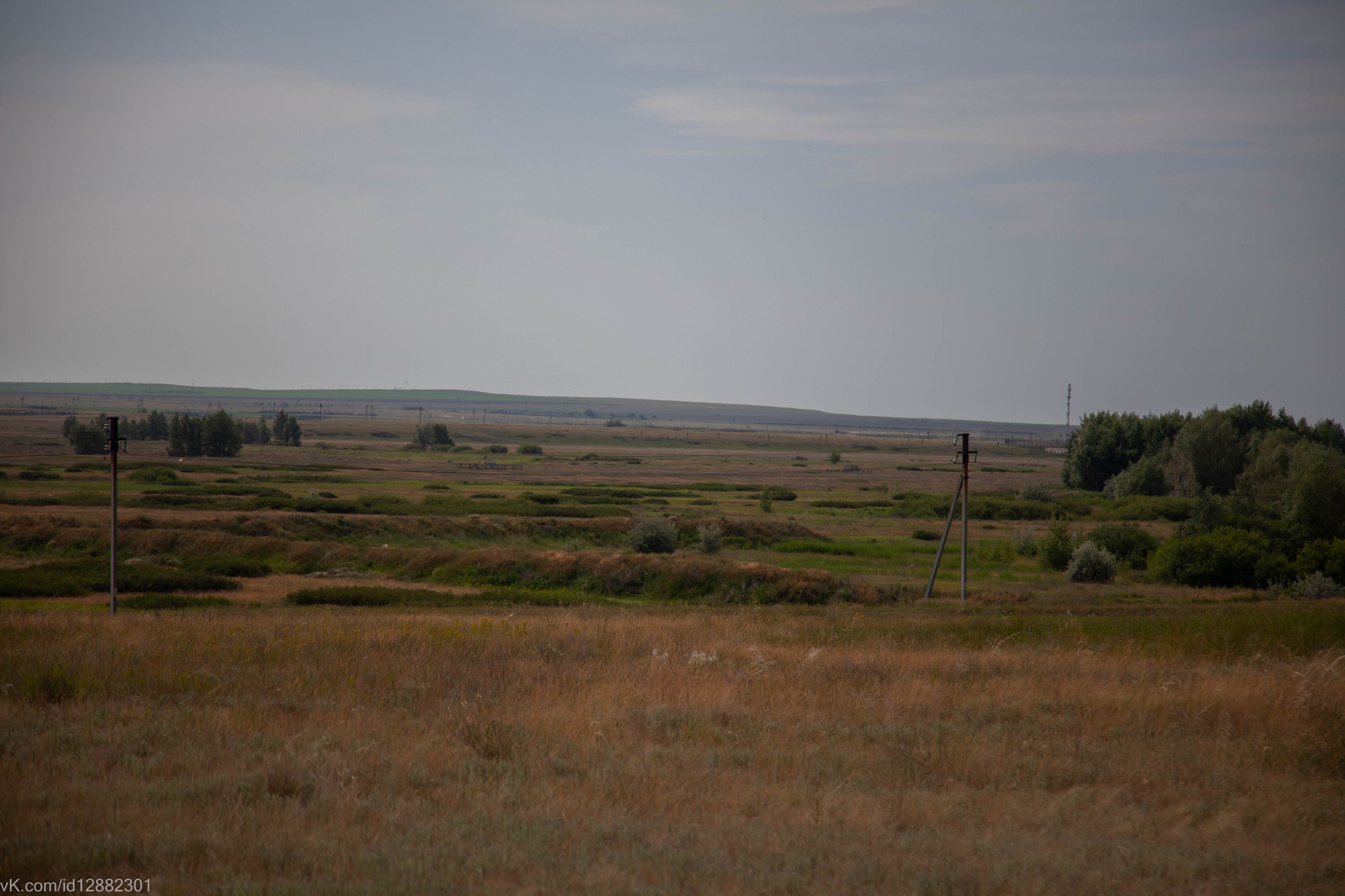 IMG_1200.jpg
