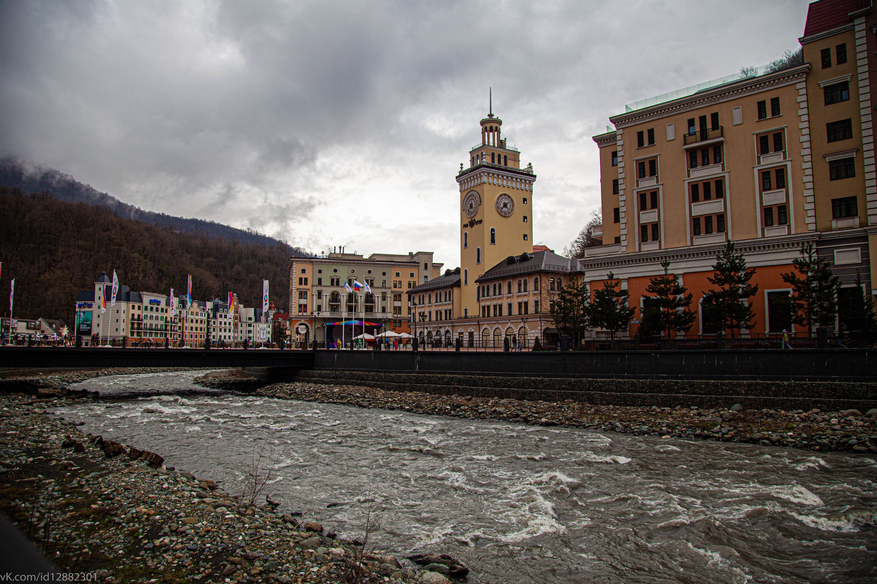 IMG_1008.jpg