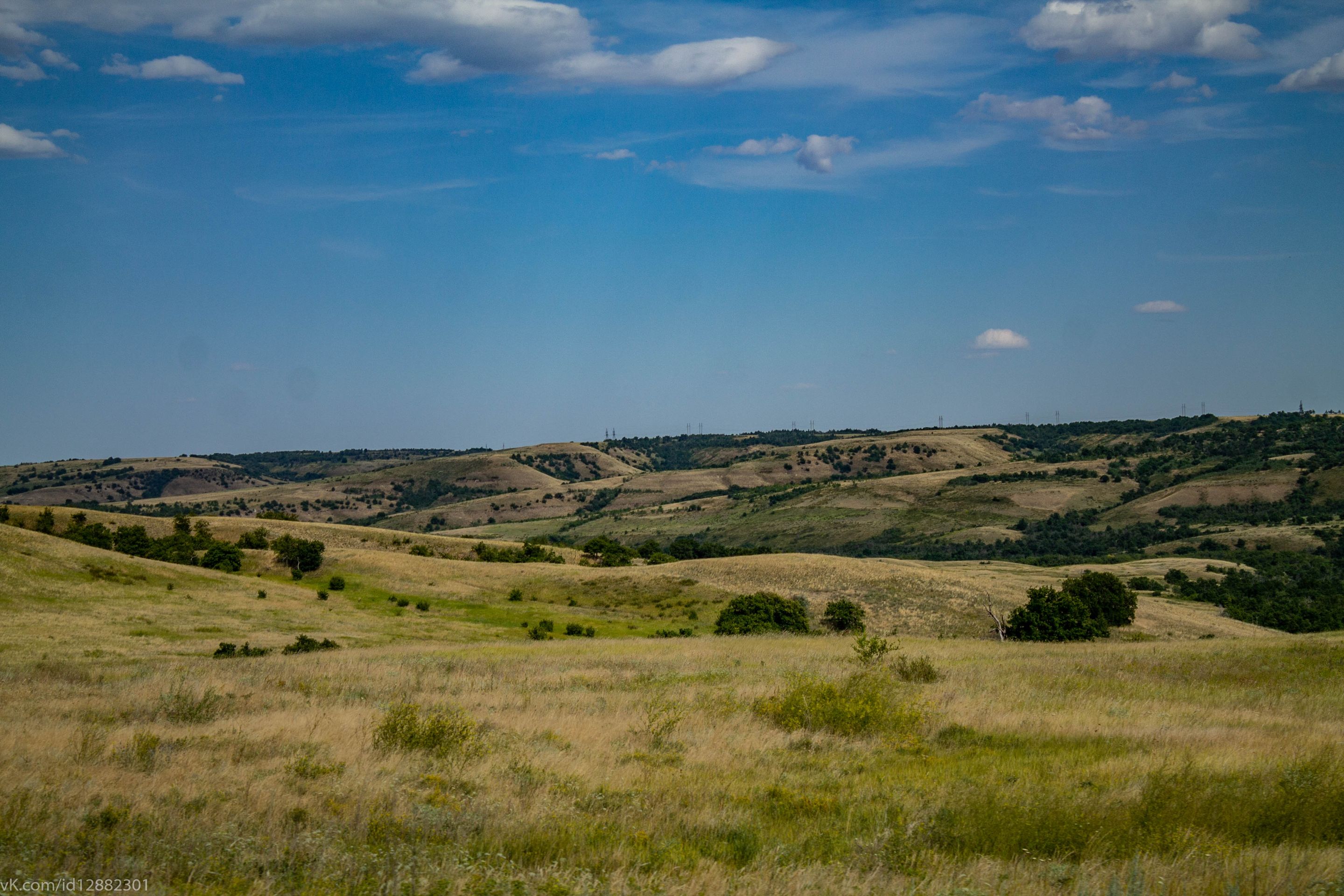 IMG_9930.jpg