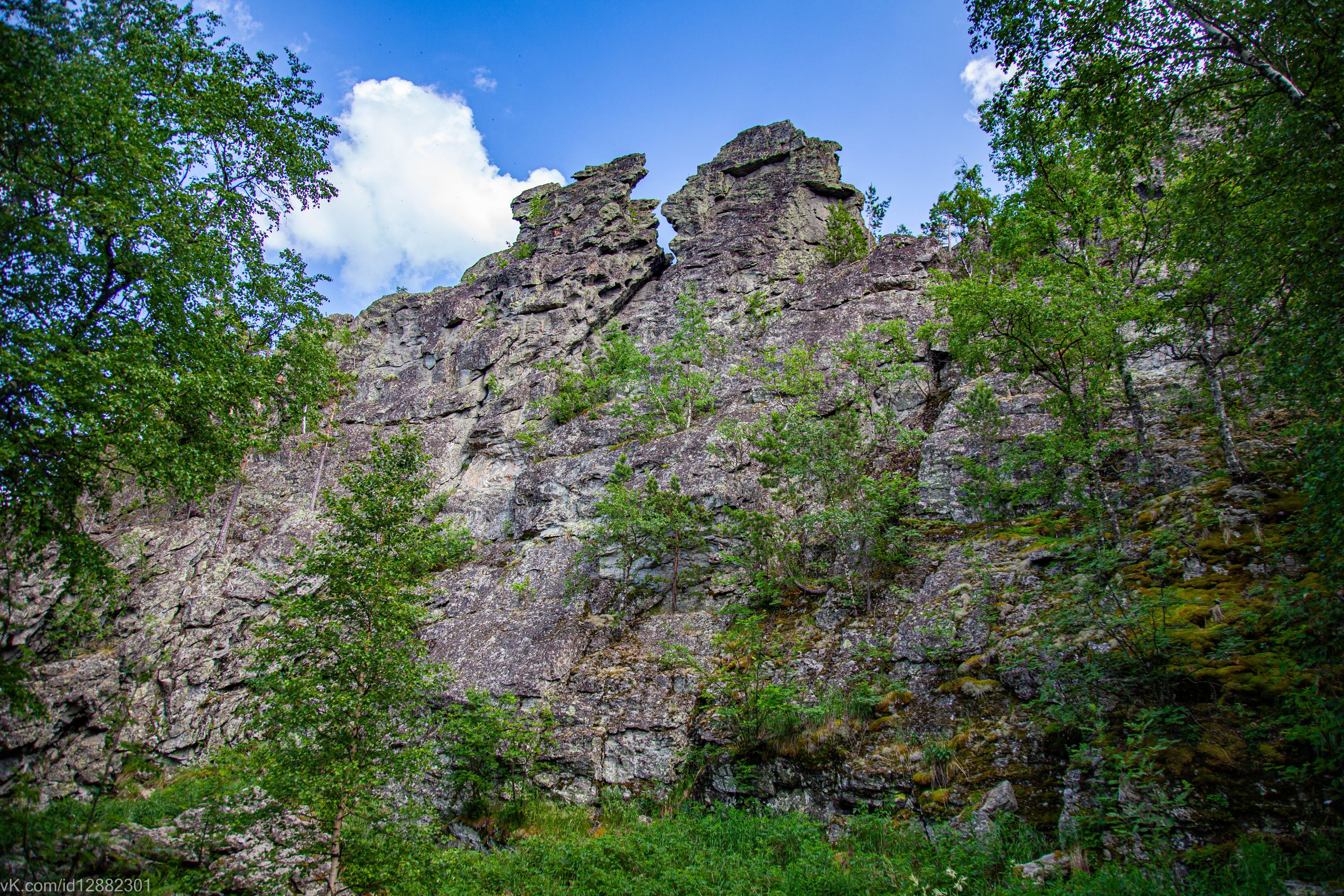 IMG_1567.jpg